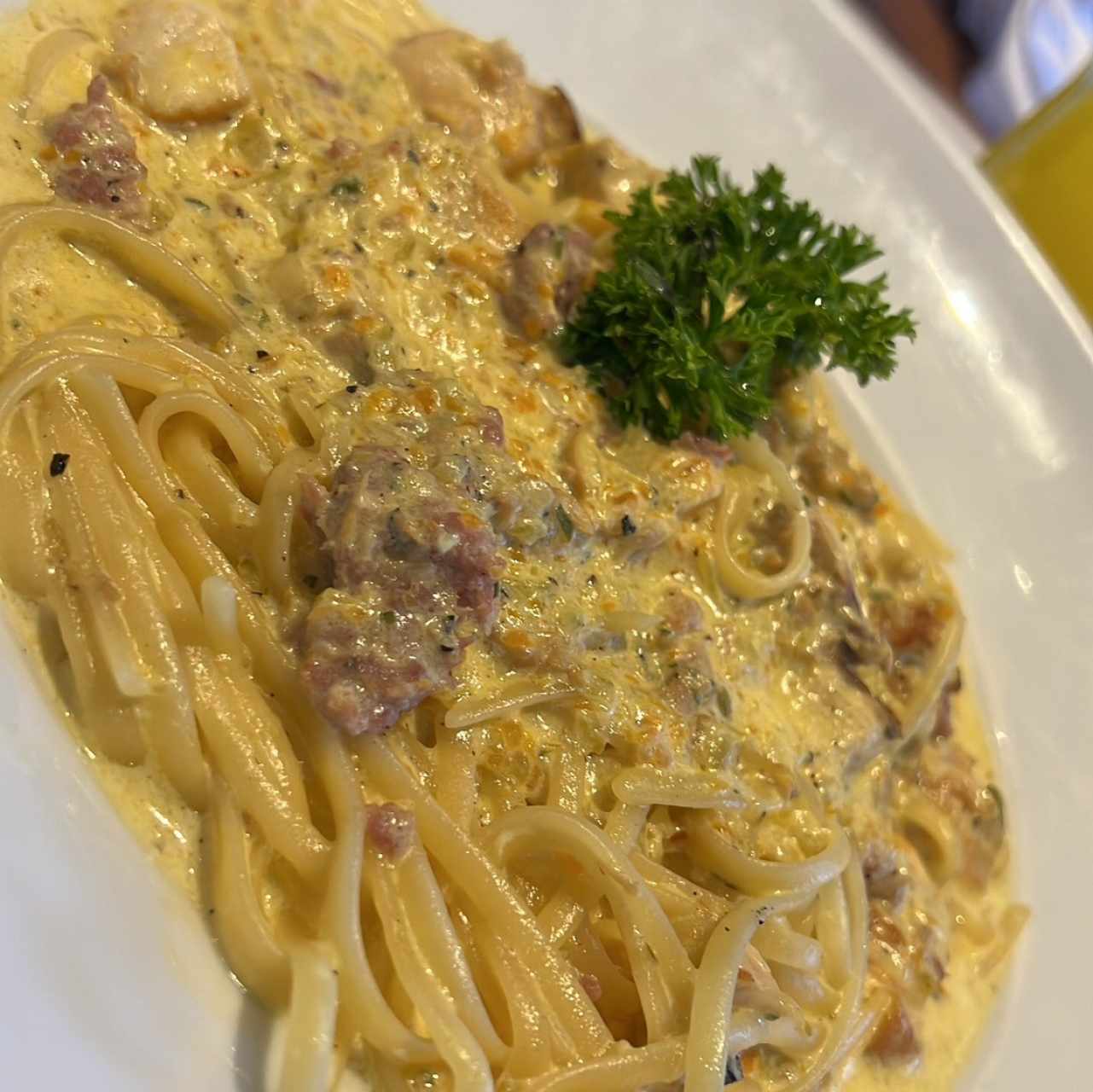Pasta Tradizionale - Alfredo con Pollo