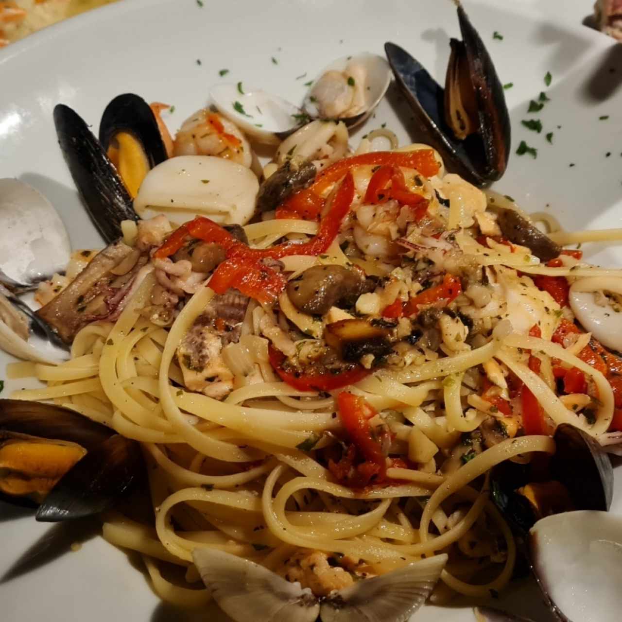 Pasta Tradizionale - Frutti di Mare