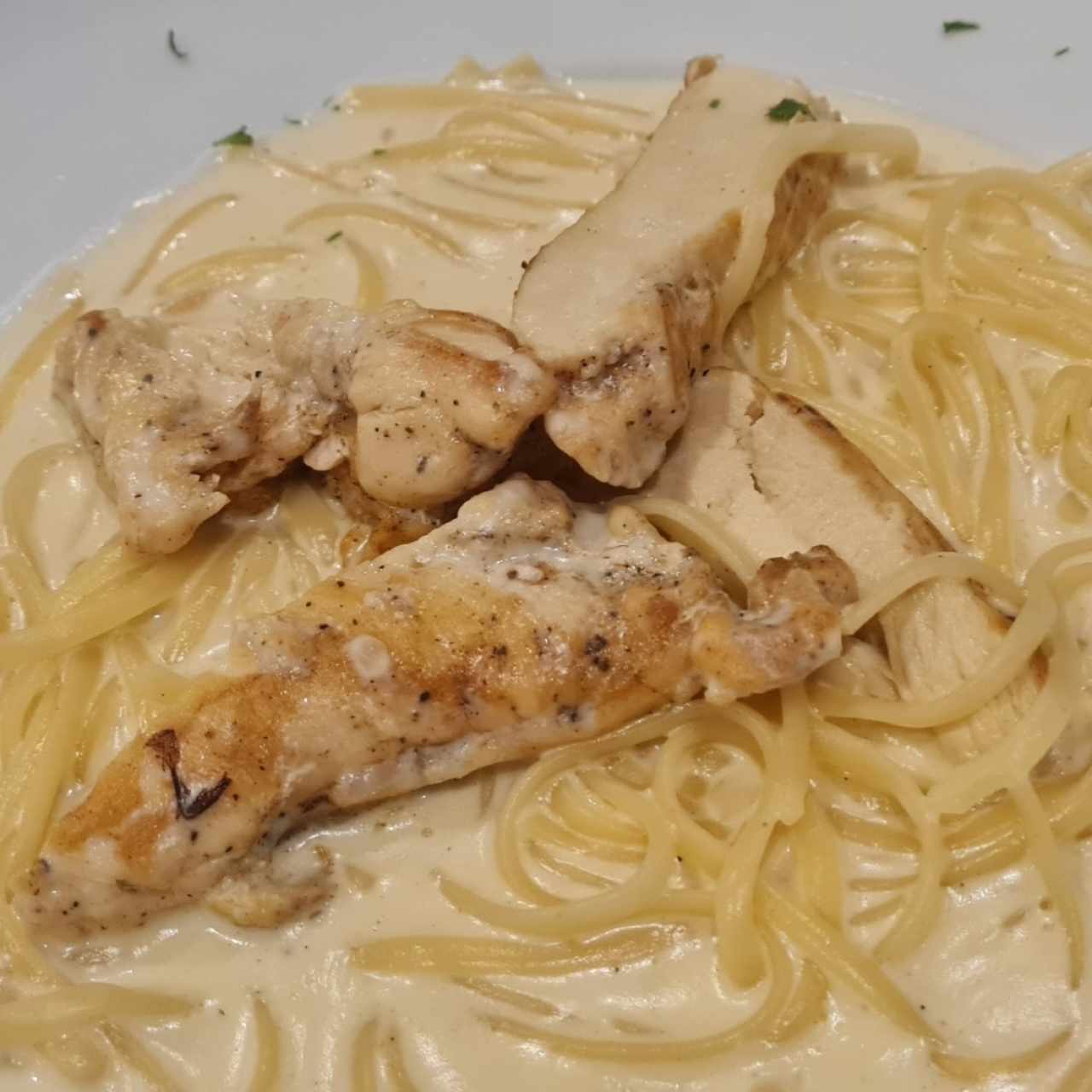 Pasta Tradizionale - Alfredo con Pollo