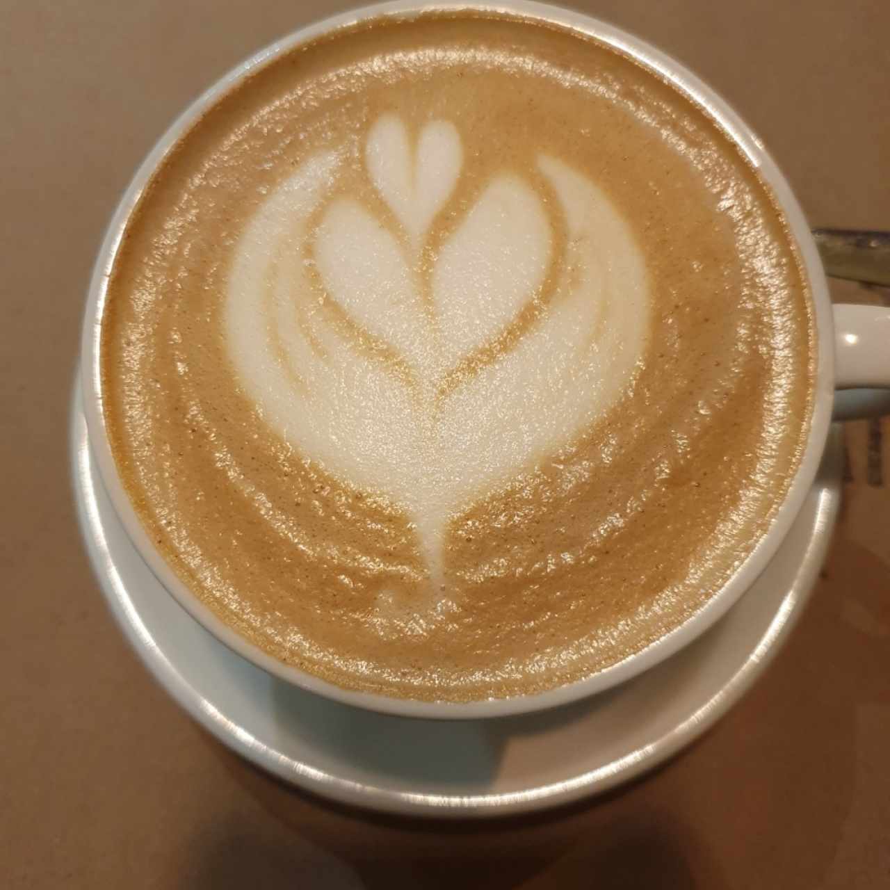Mocca