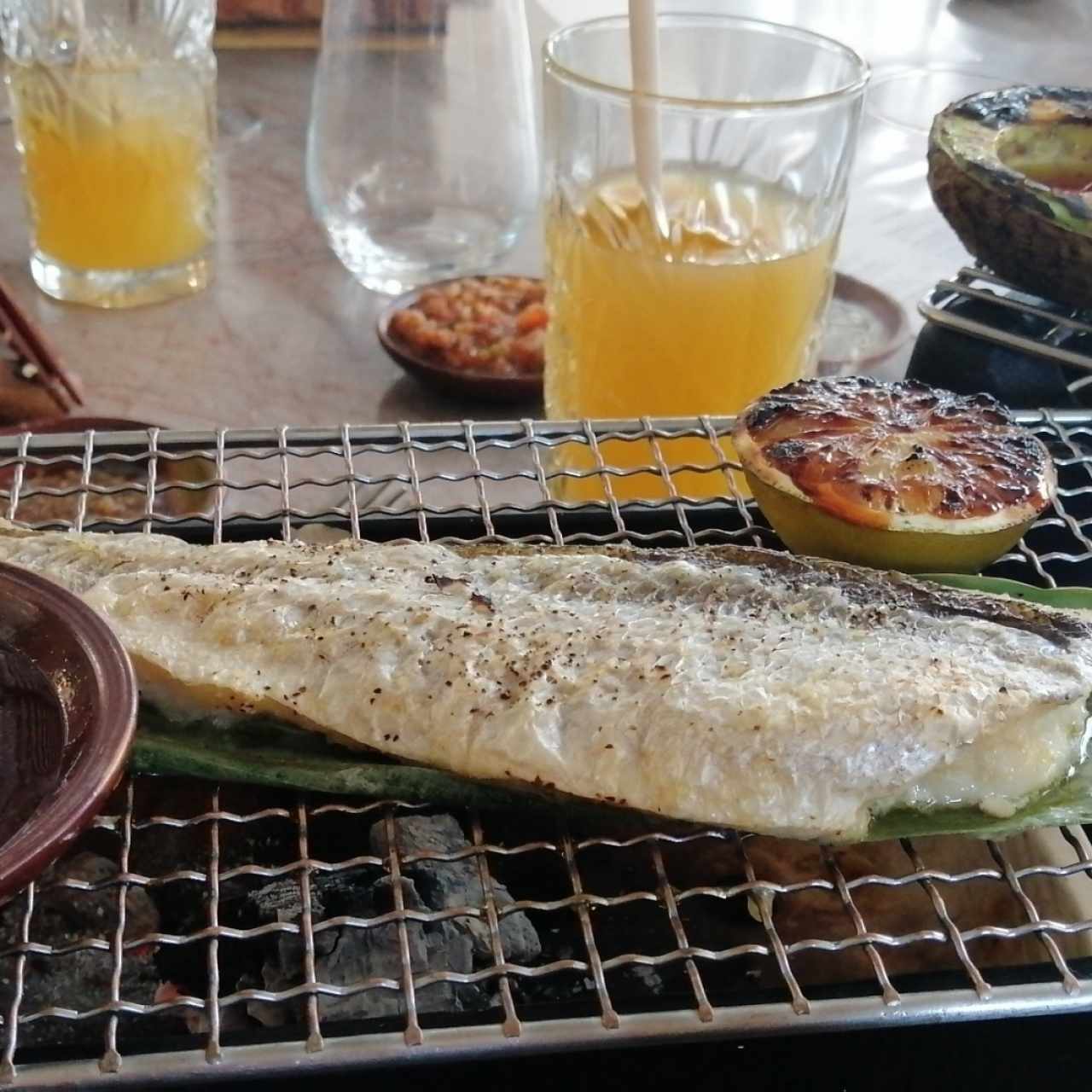 Pesca del Día