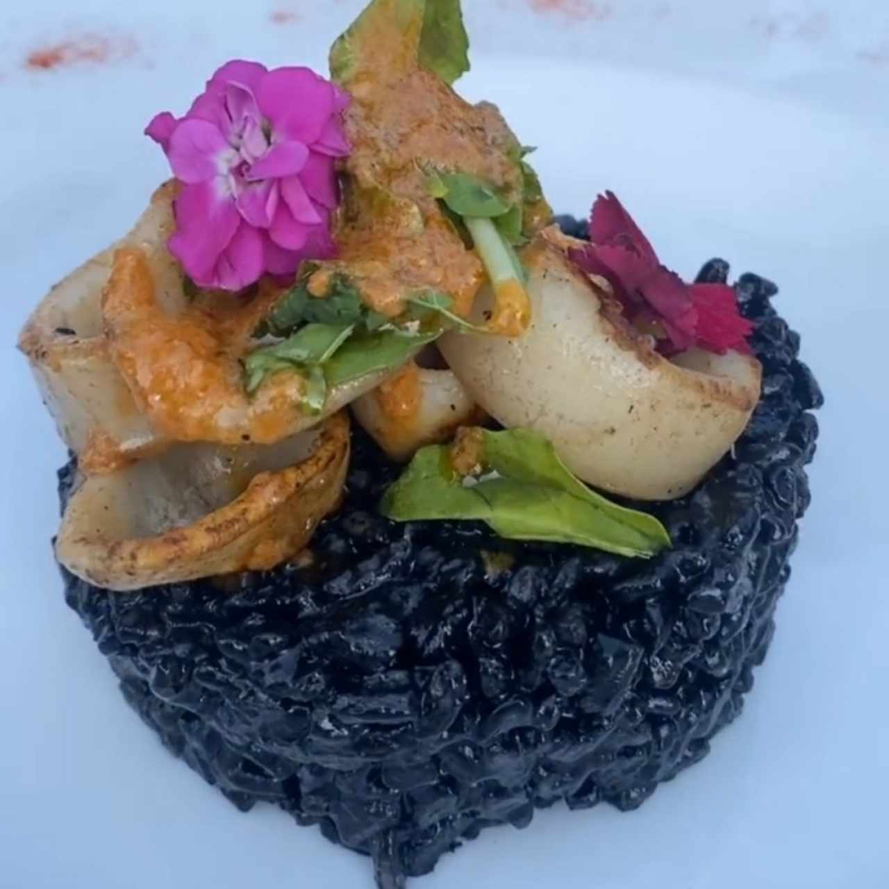 risotto con calamares 