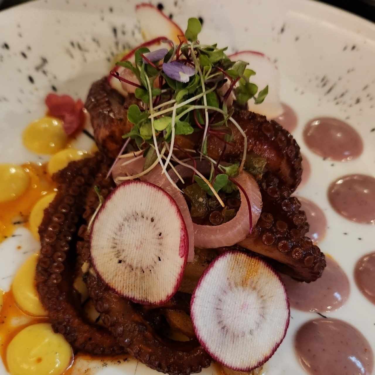 Pulpo 