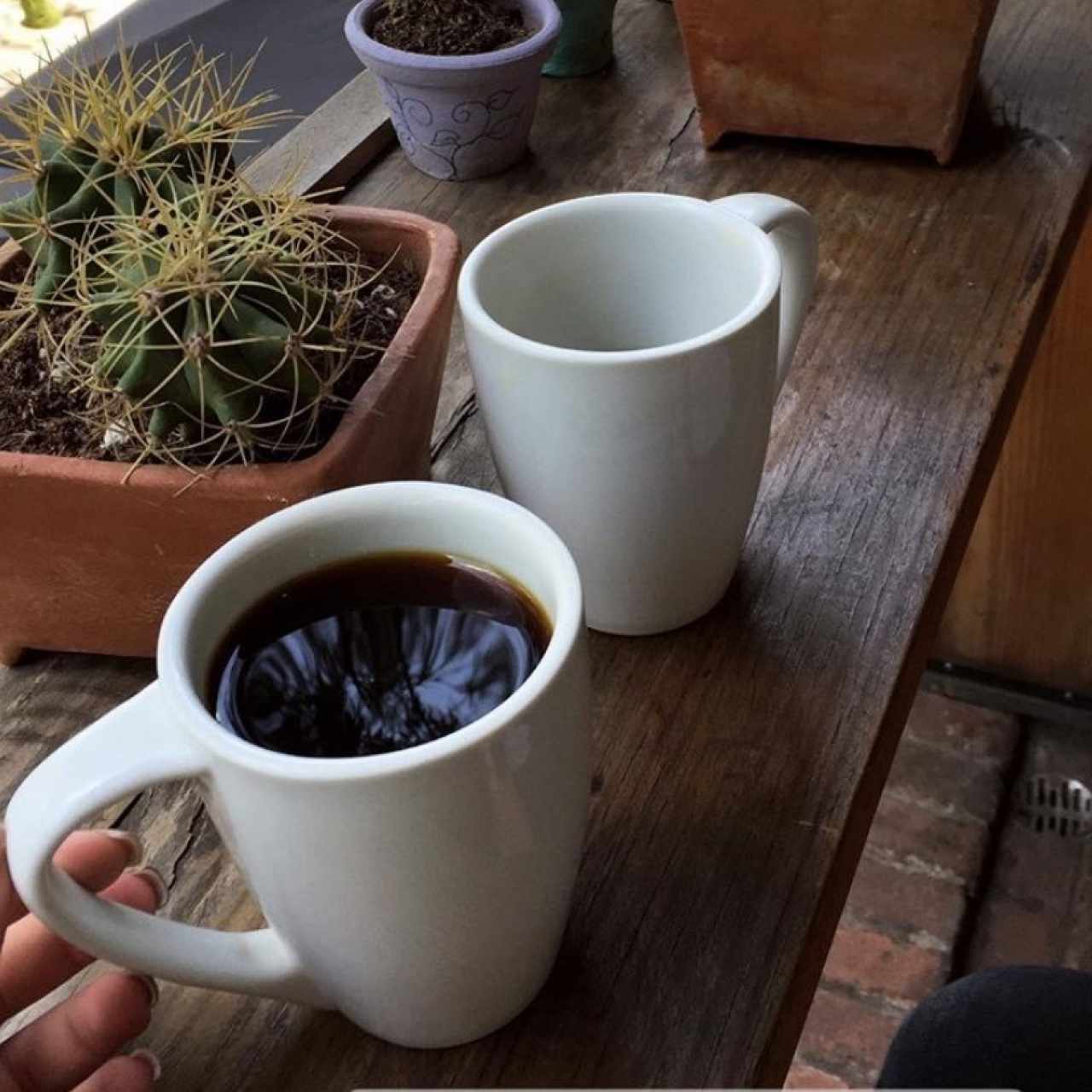 Café Negro V60 16 OZ