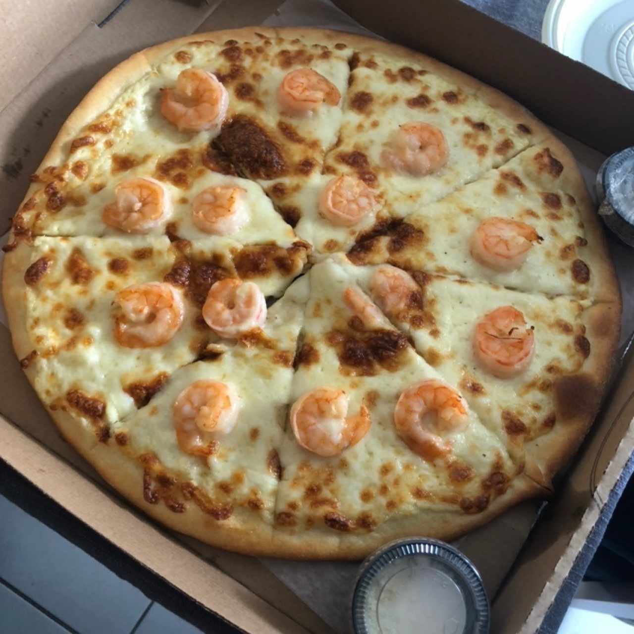 Camarón y salsa blanca