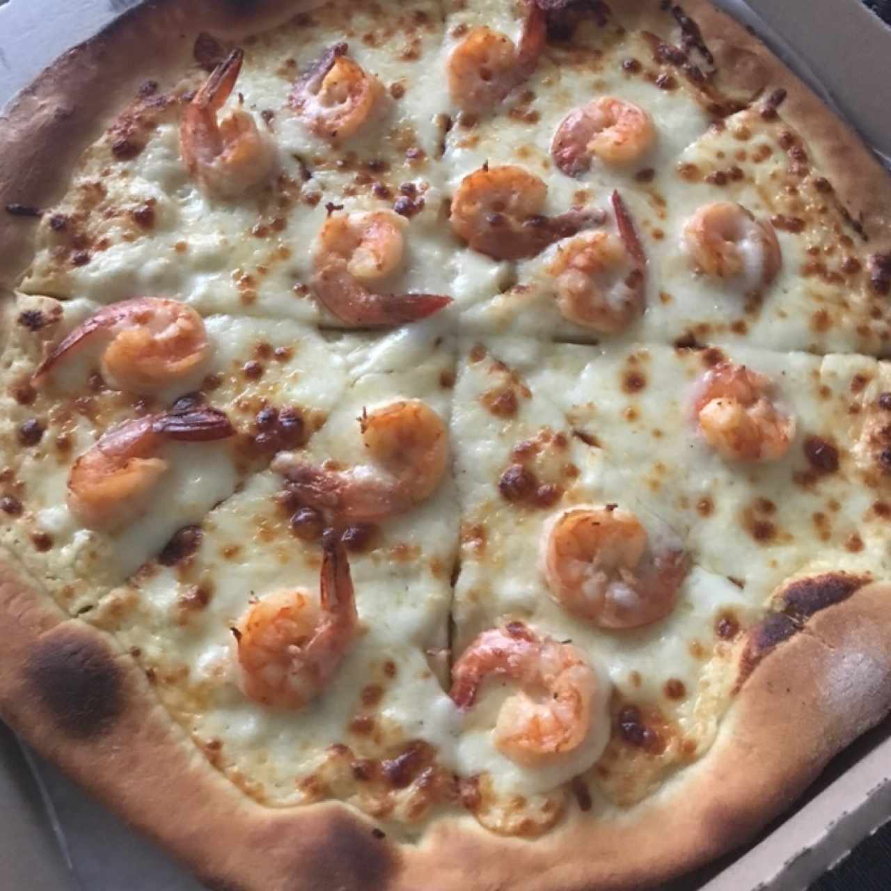 Camarón y salsa blanca