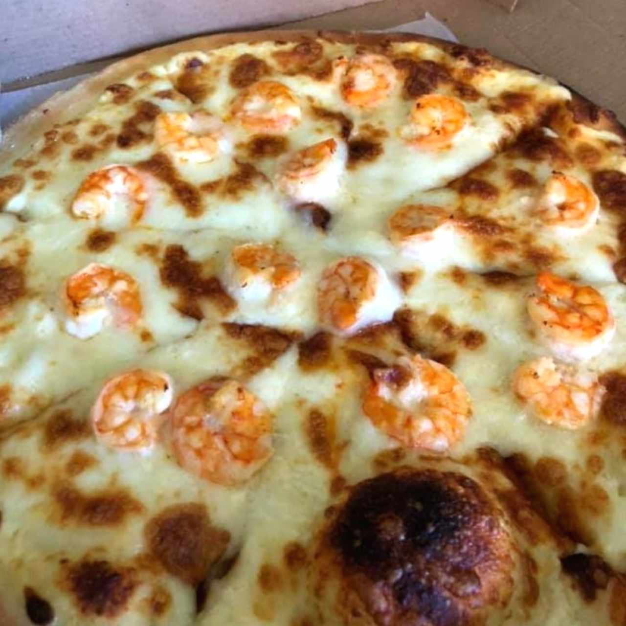 Camarón y salsa blanca