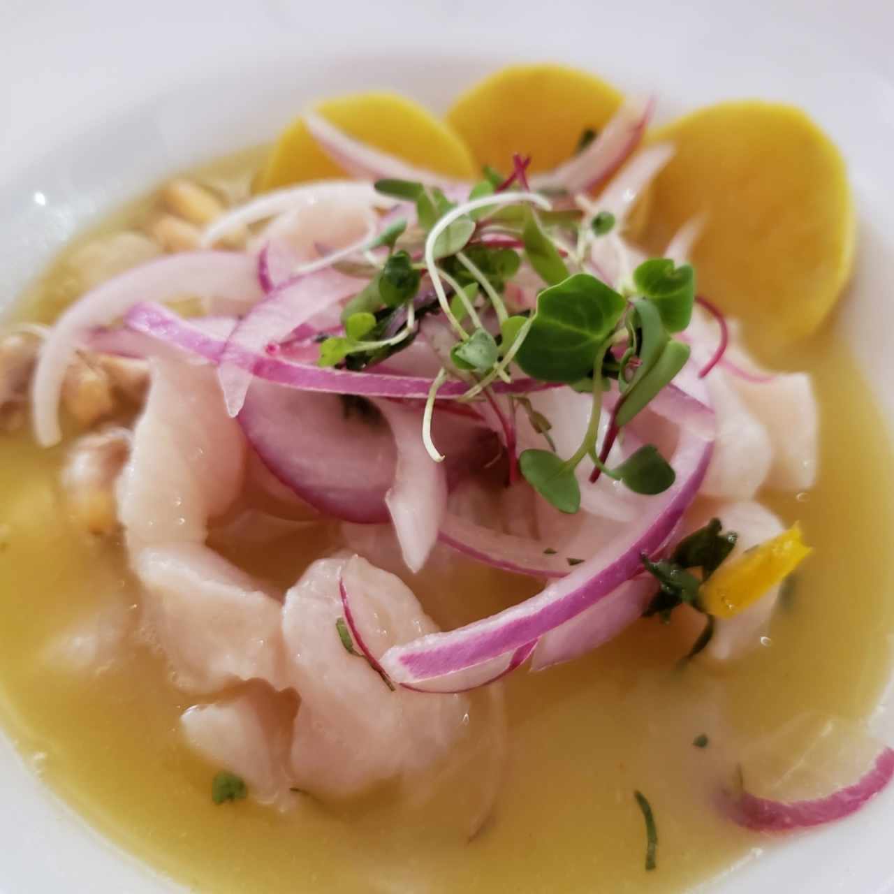 ceviche