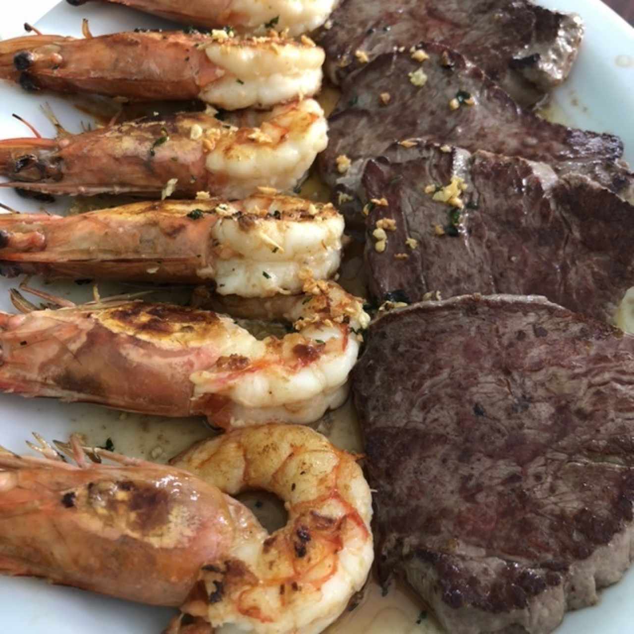 Mar y tierra 