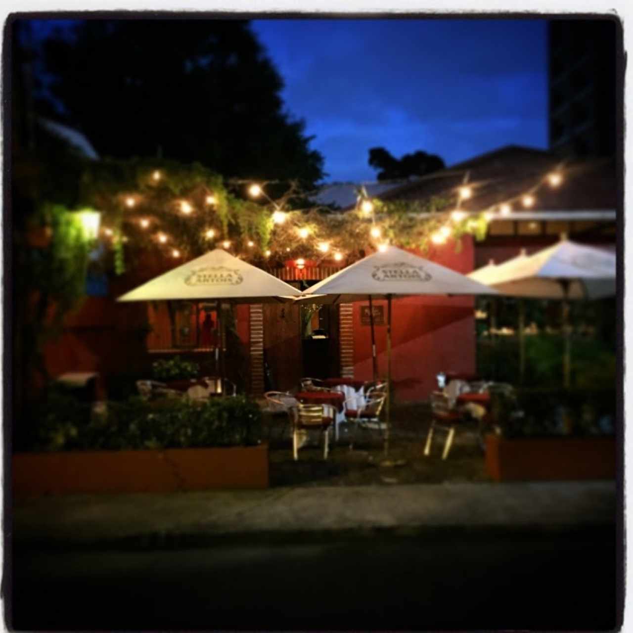 El Rincon de Alex