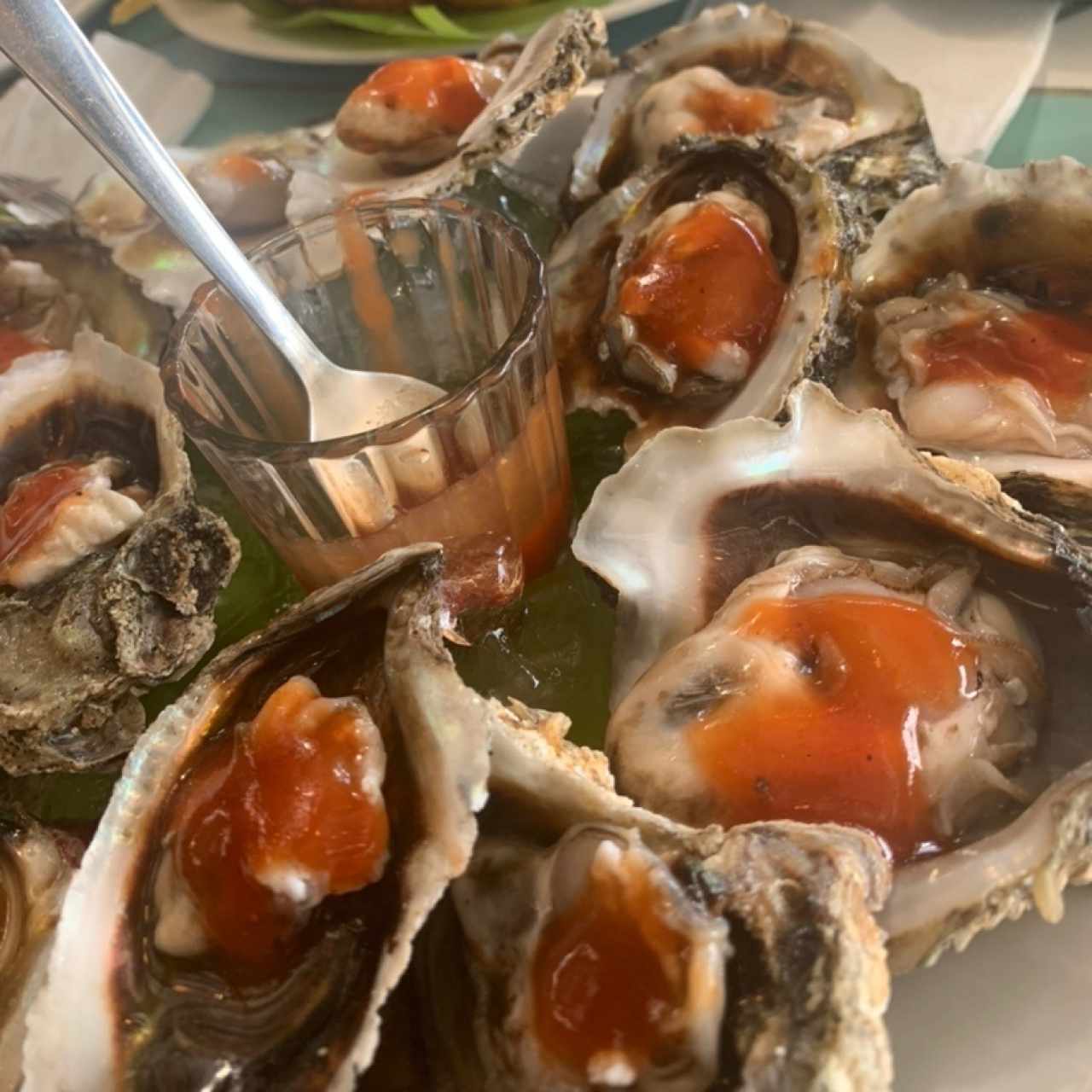 1/2 Docena de Ostras Frescas