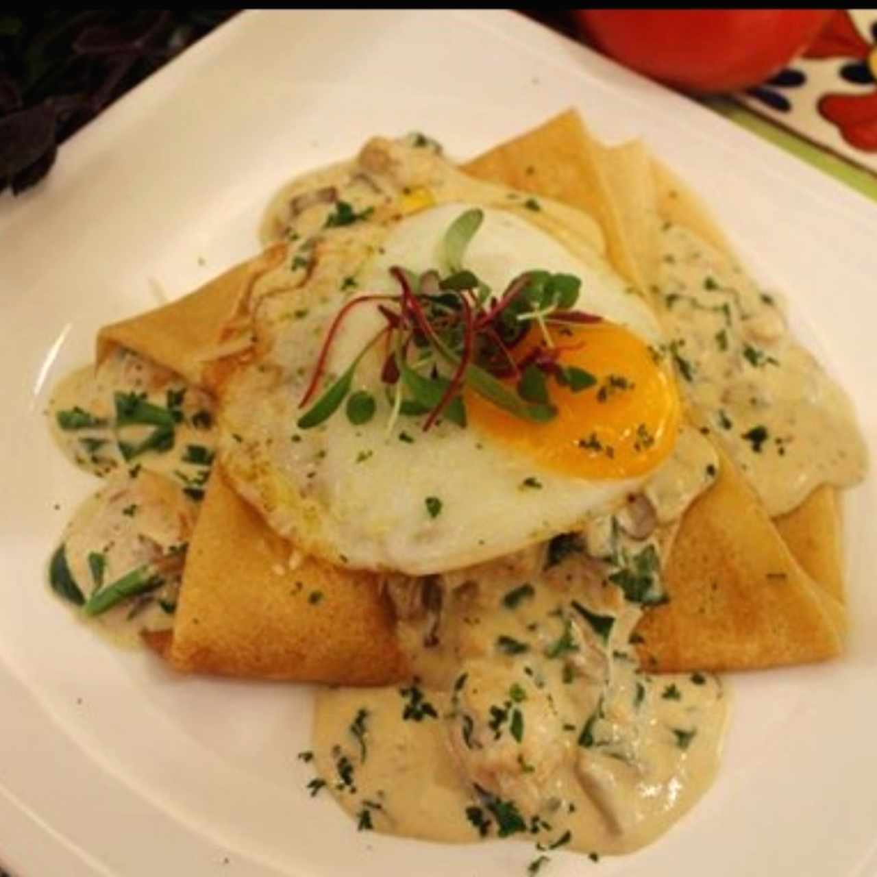 Crepe Florentina