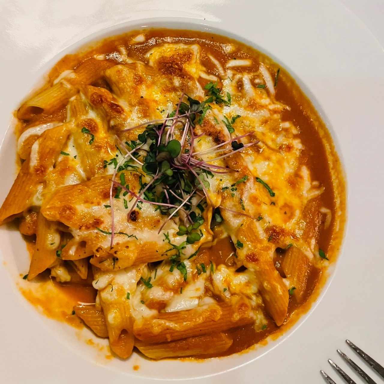 Penne Pomodoro con Tomate, Albahaca y Mozzarella Fresca