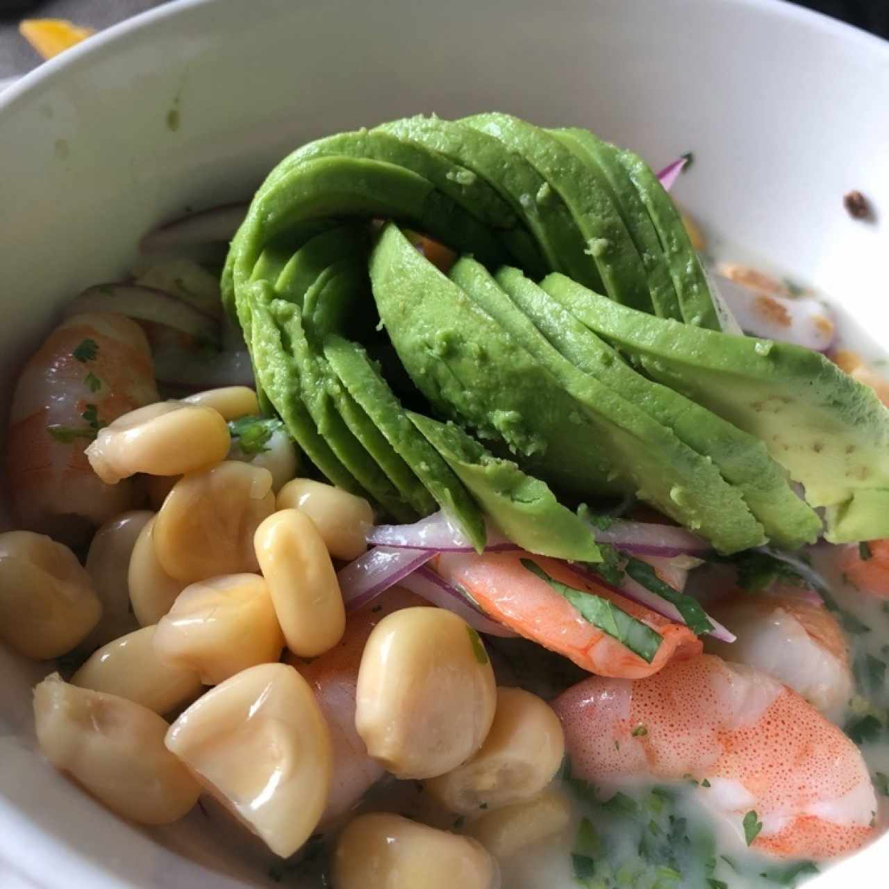 Garden Menú - Ceviche Peruano