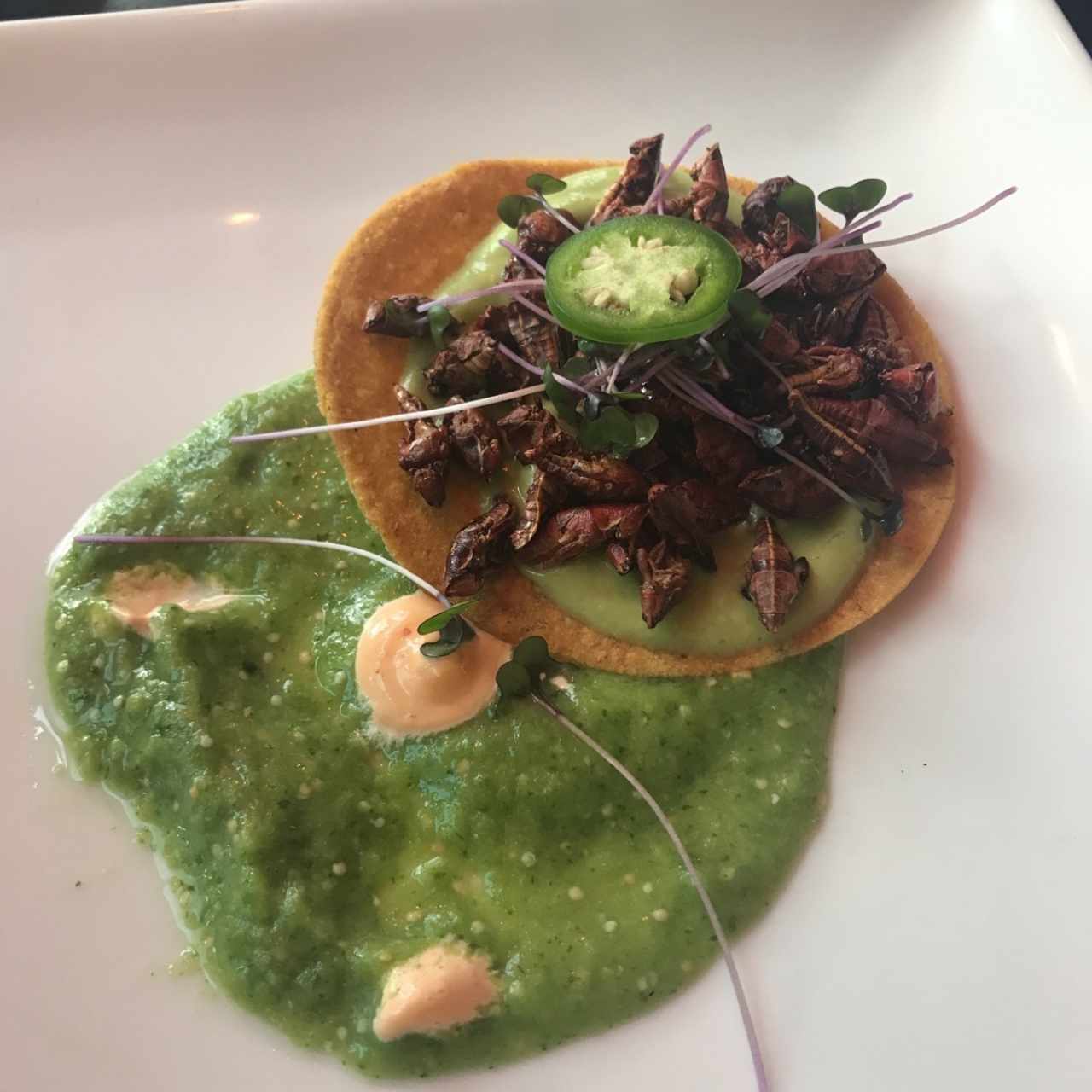 tostada de Chapulines