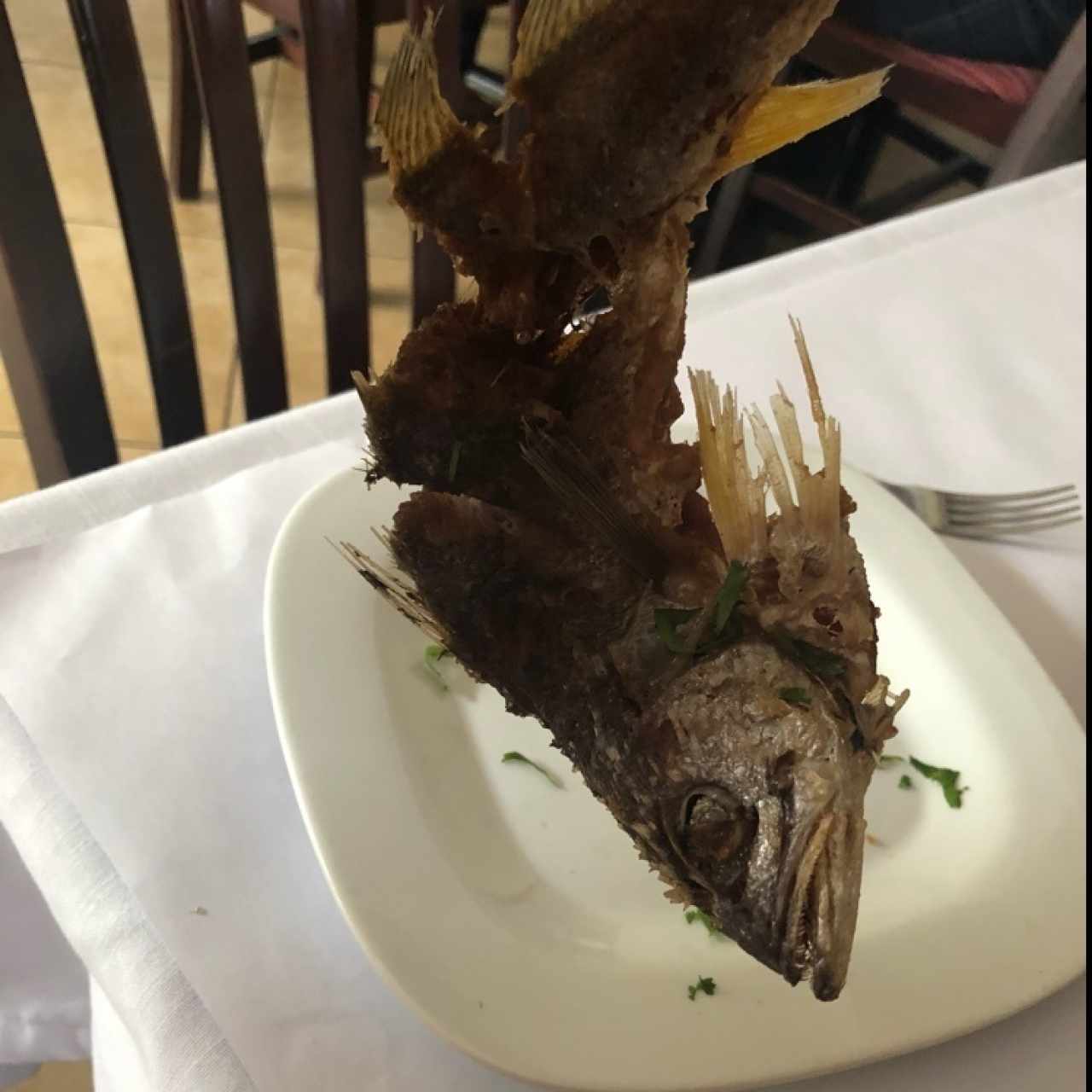 pascado del tapado
