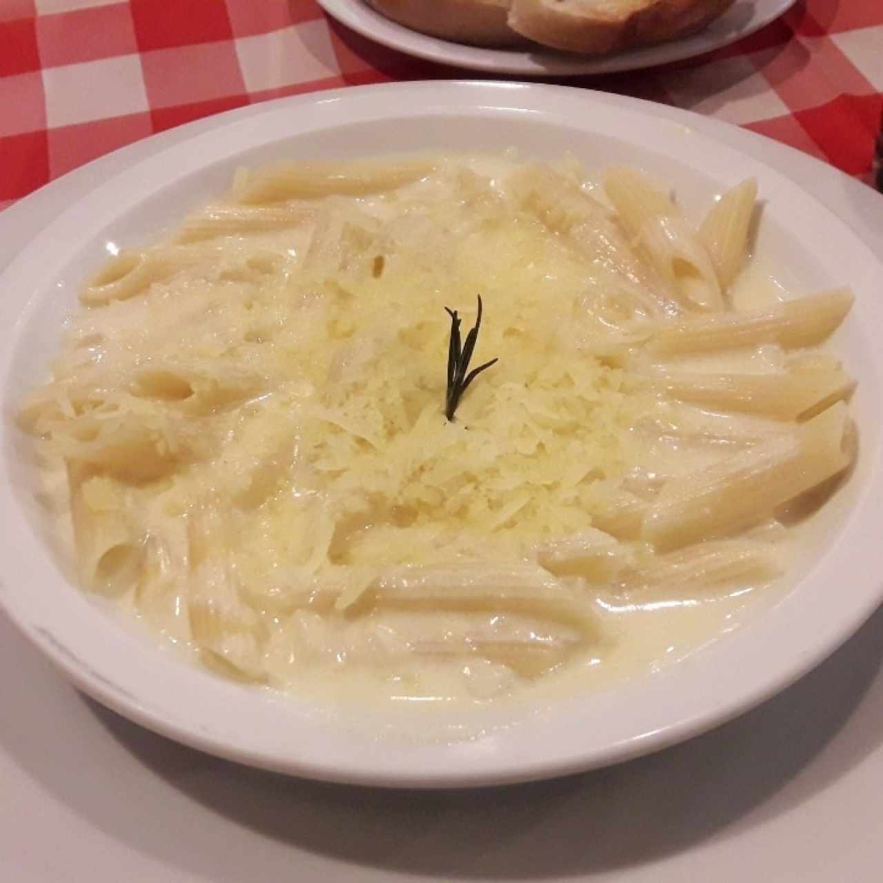 Pasta penne con salsa alfredo 
