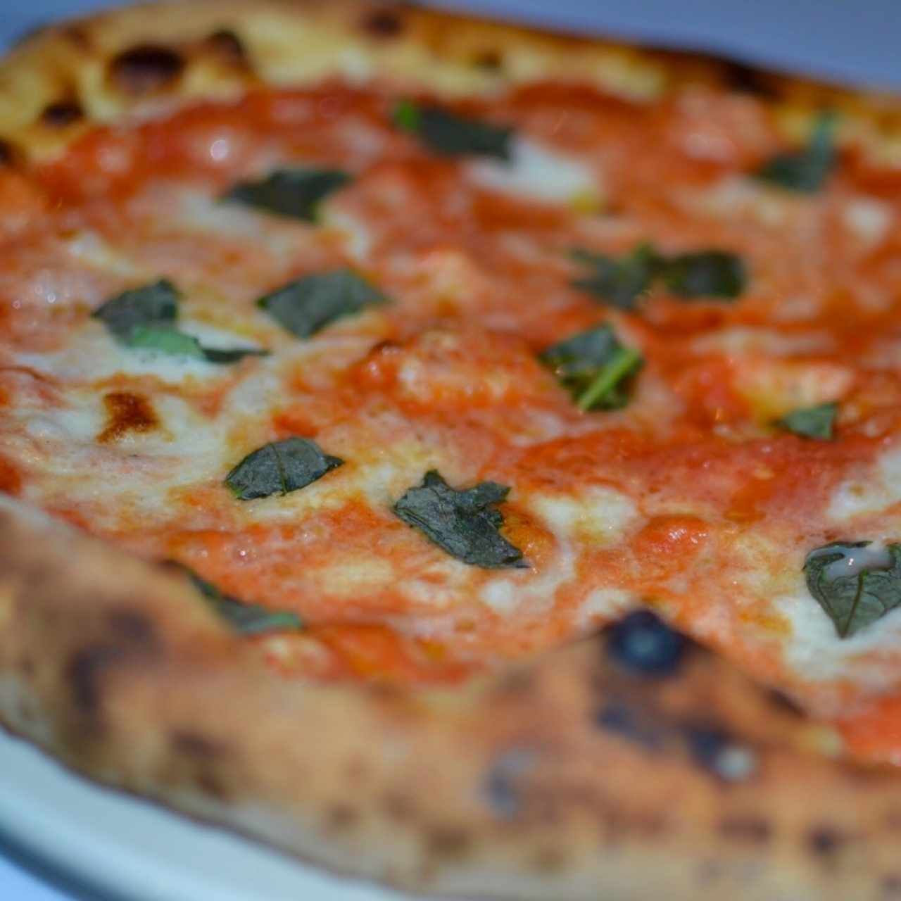 Pizzas - Margherita