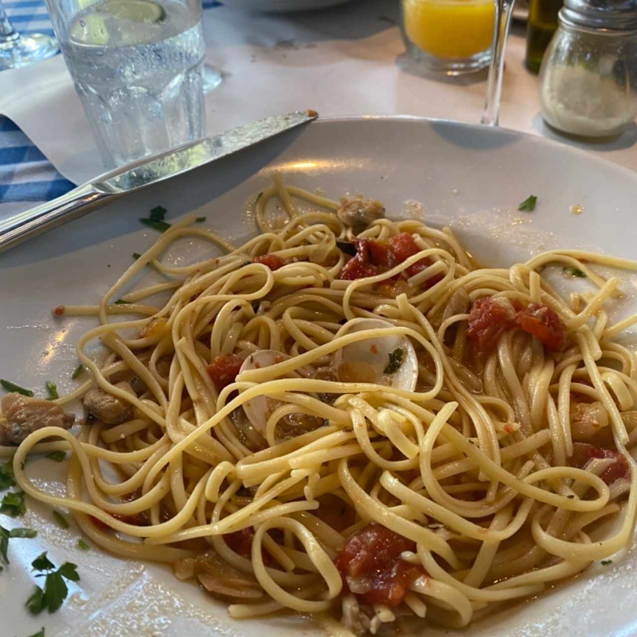 Pasta Tradizionale - Alla Vodka