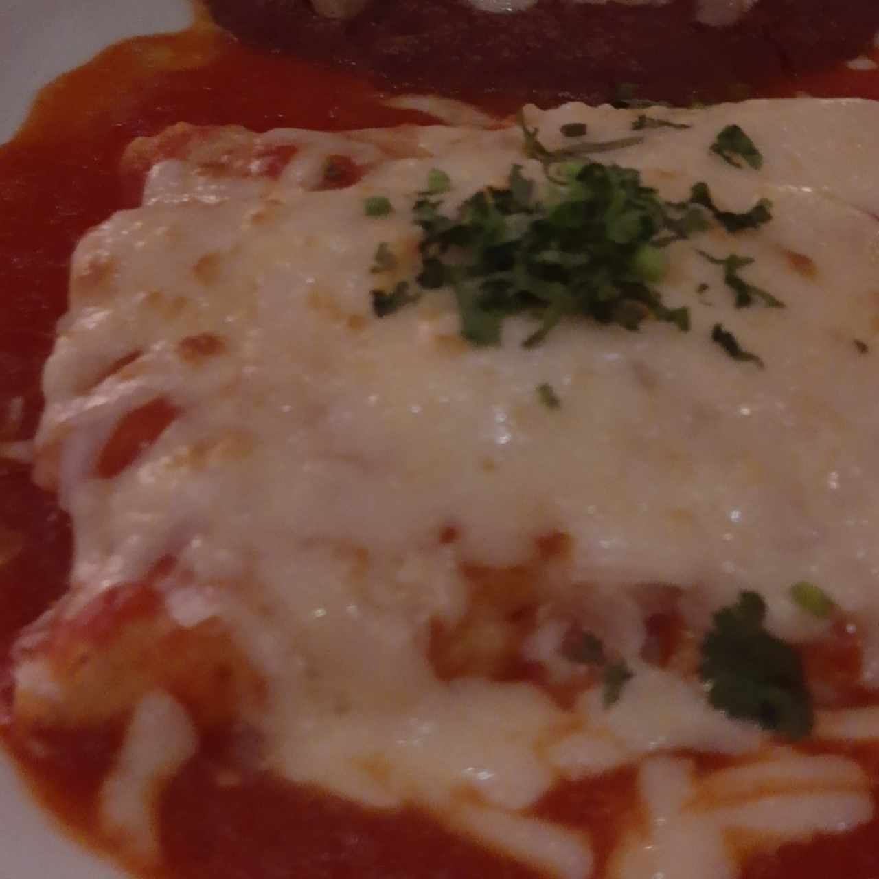 Especialidades mexicanas - Enchiladas Mexicanas