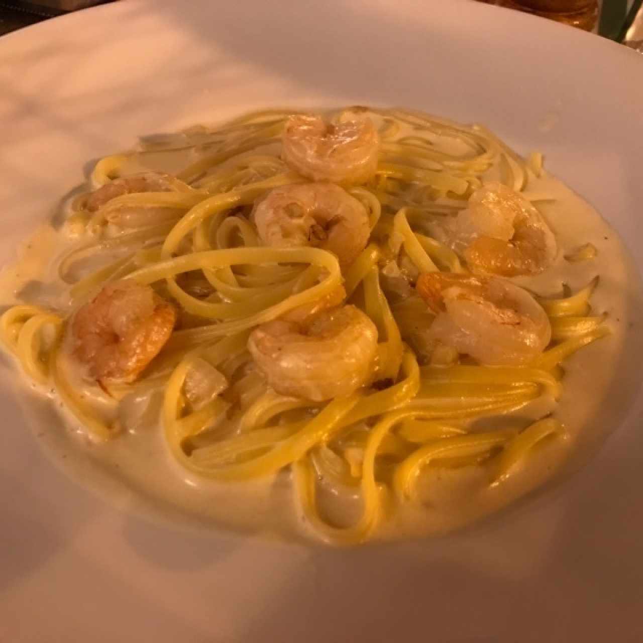 PASTA TRADIZIONALE - LINGUINE ALFREDO GAMBORE