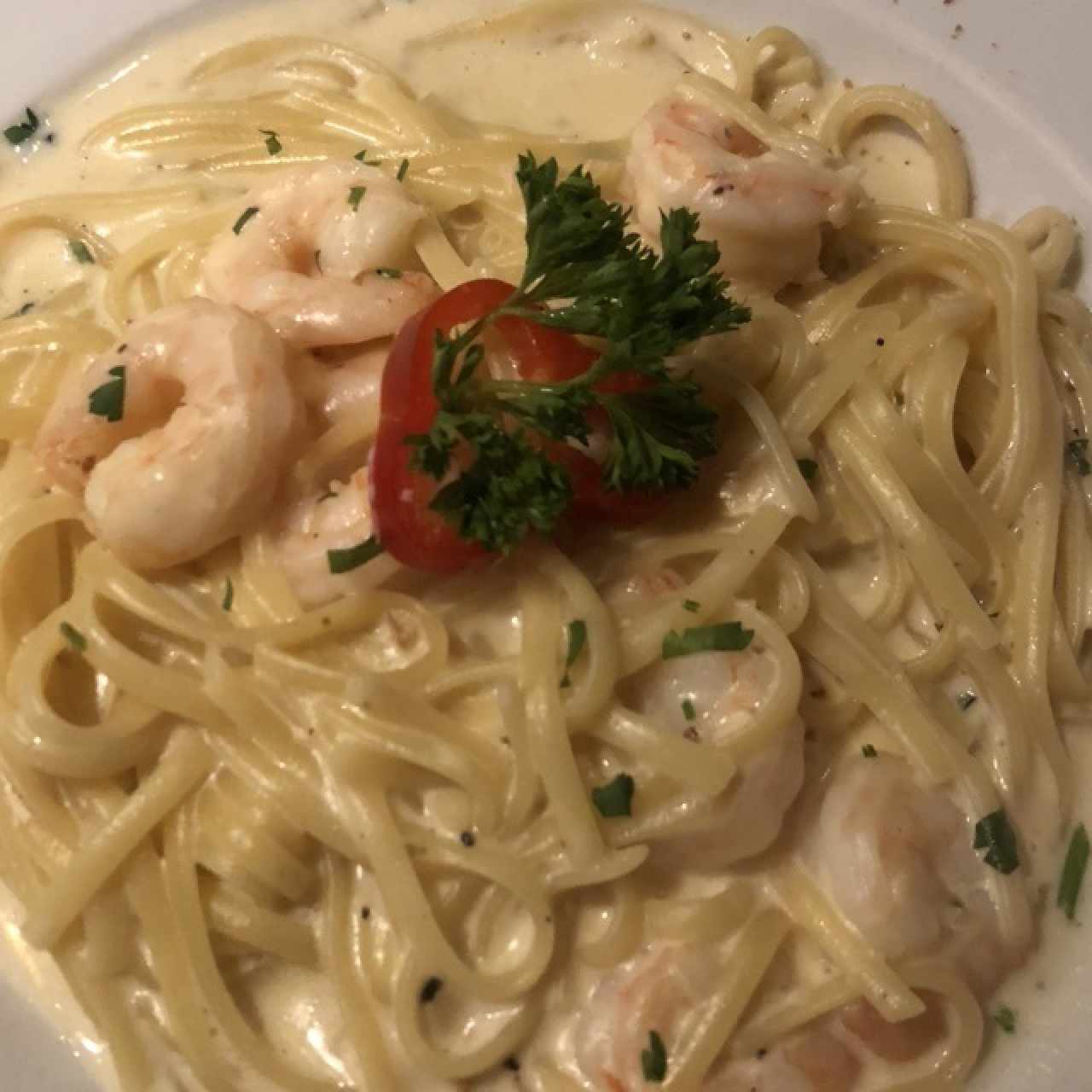 Pasta Tradizionale - Alfredo Gambore
