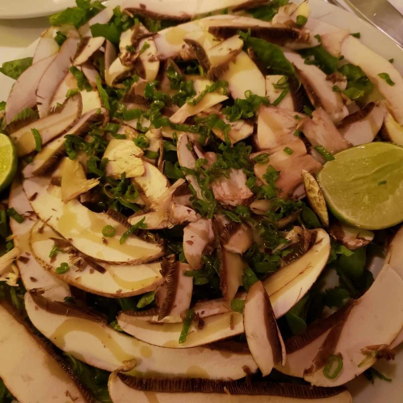 carpaccio di portobello