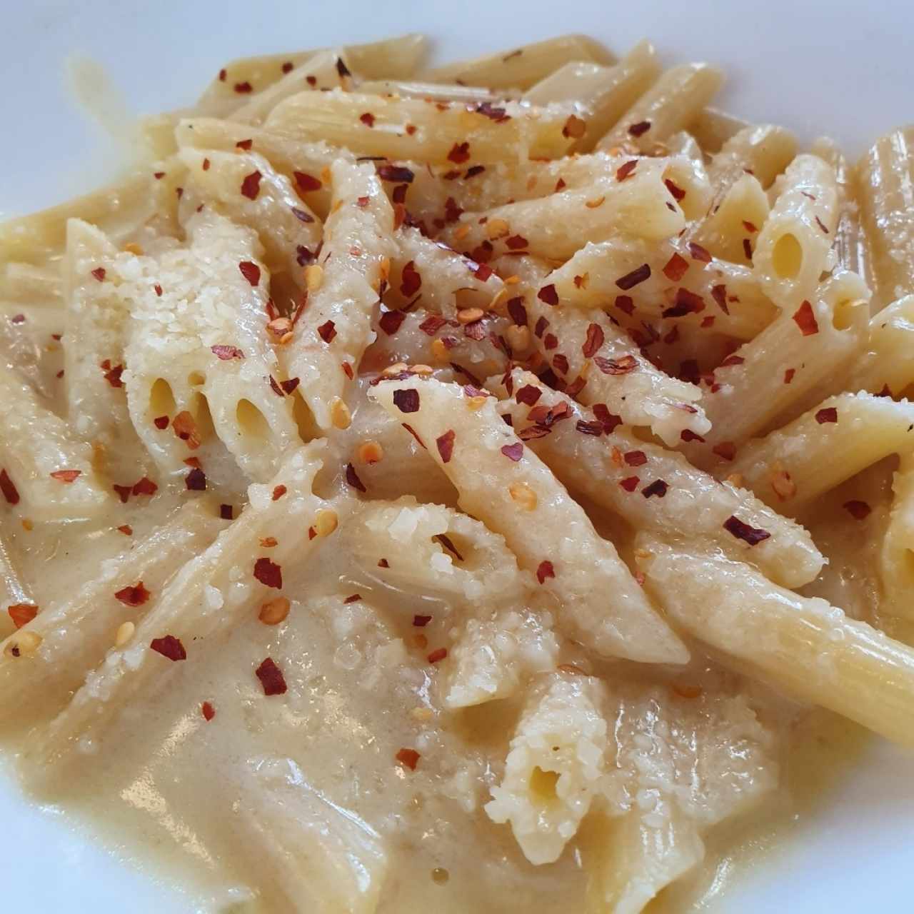 Penne Alfredo