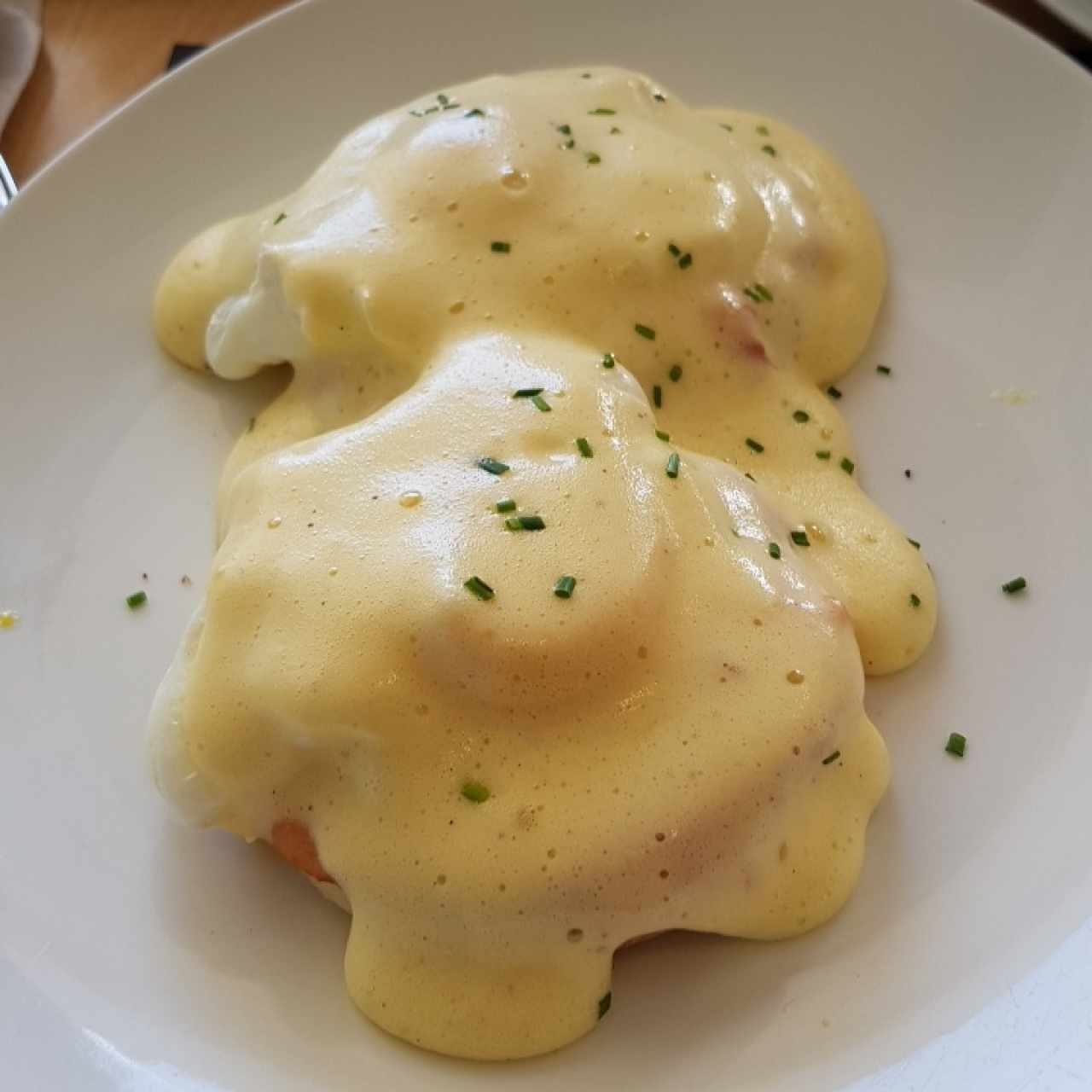 Benedictinos c Salmon