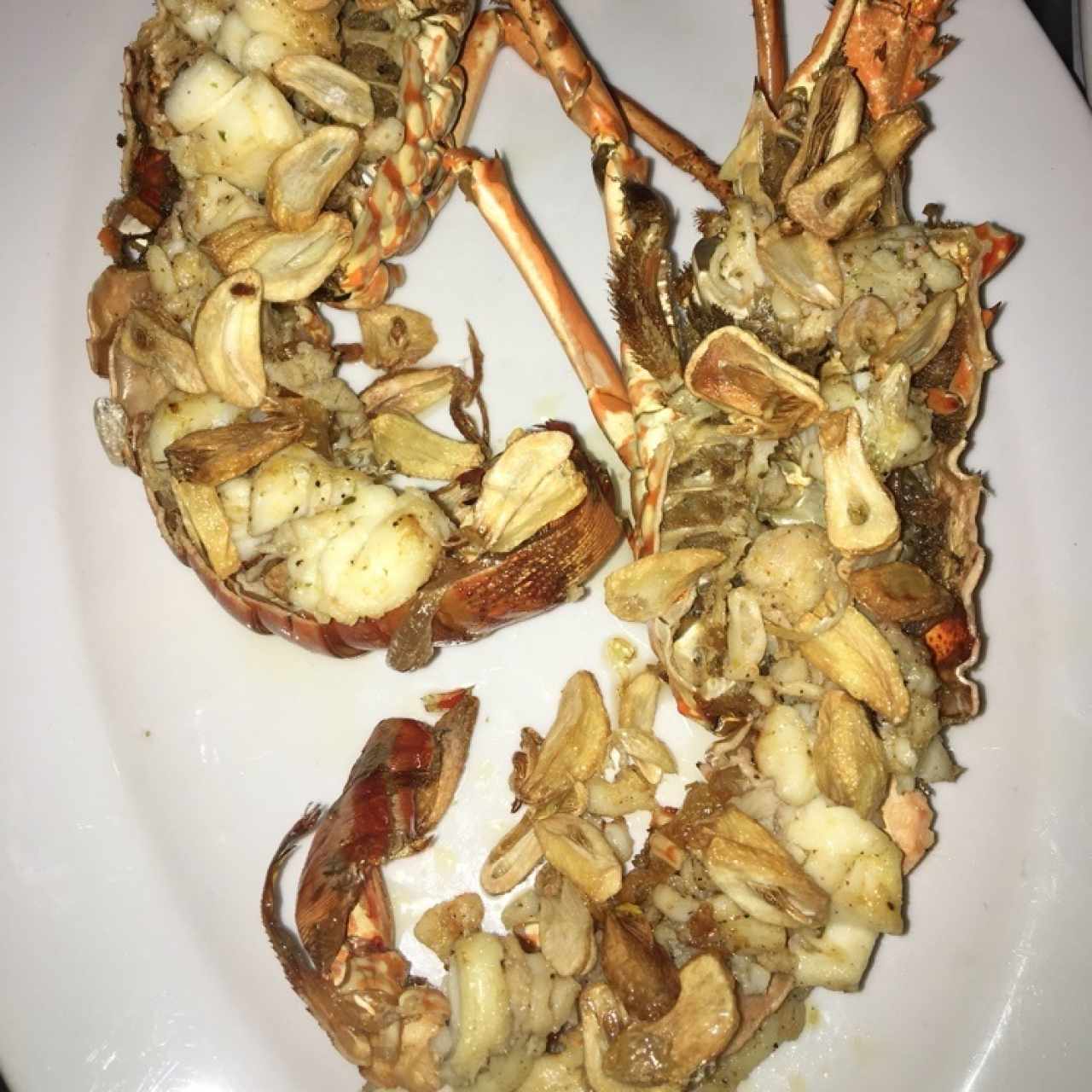 Langosta