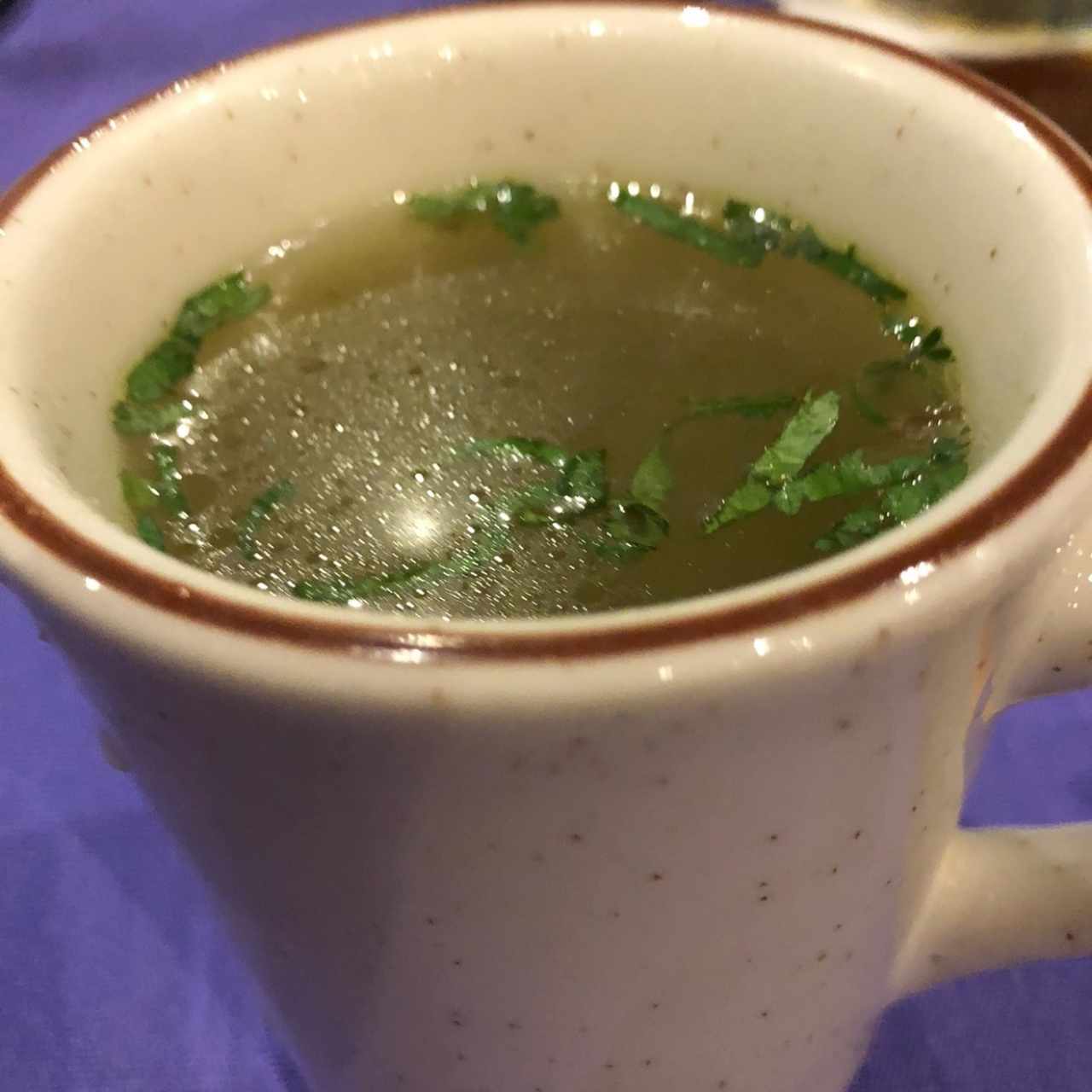 Caldo Tlalpeño