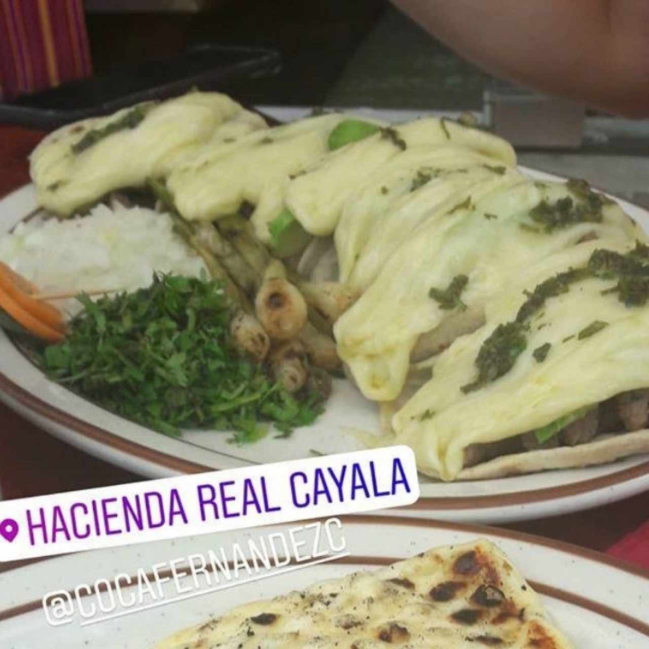 Tacos de res