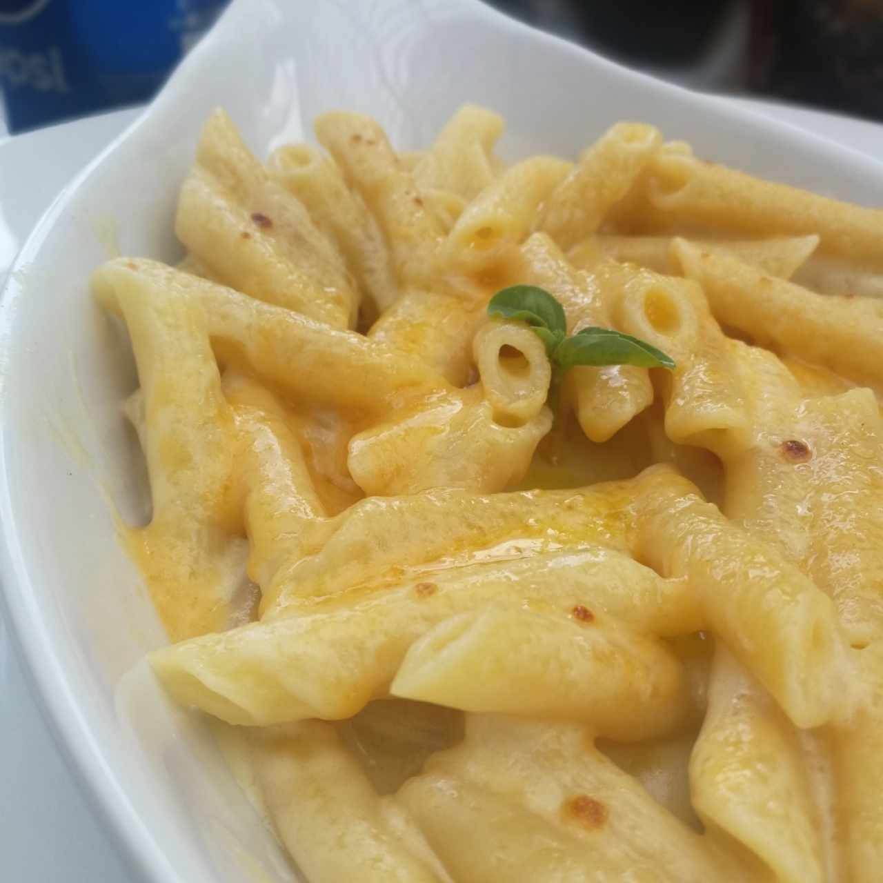 pasta tres quesos
