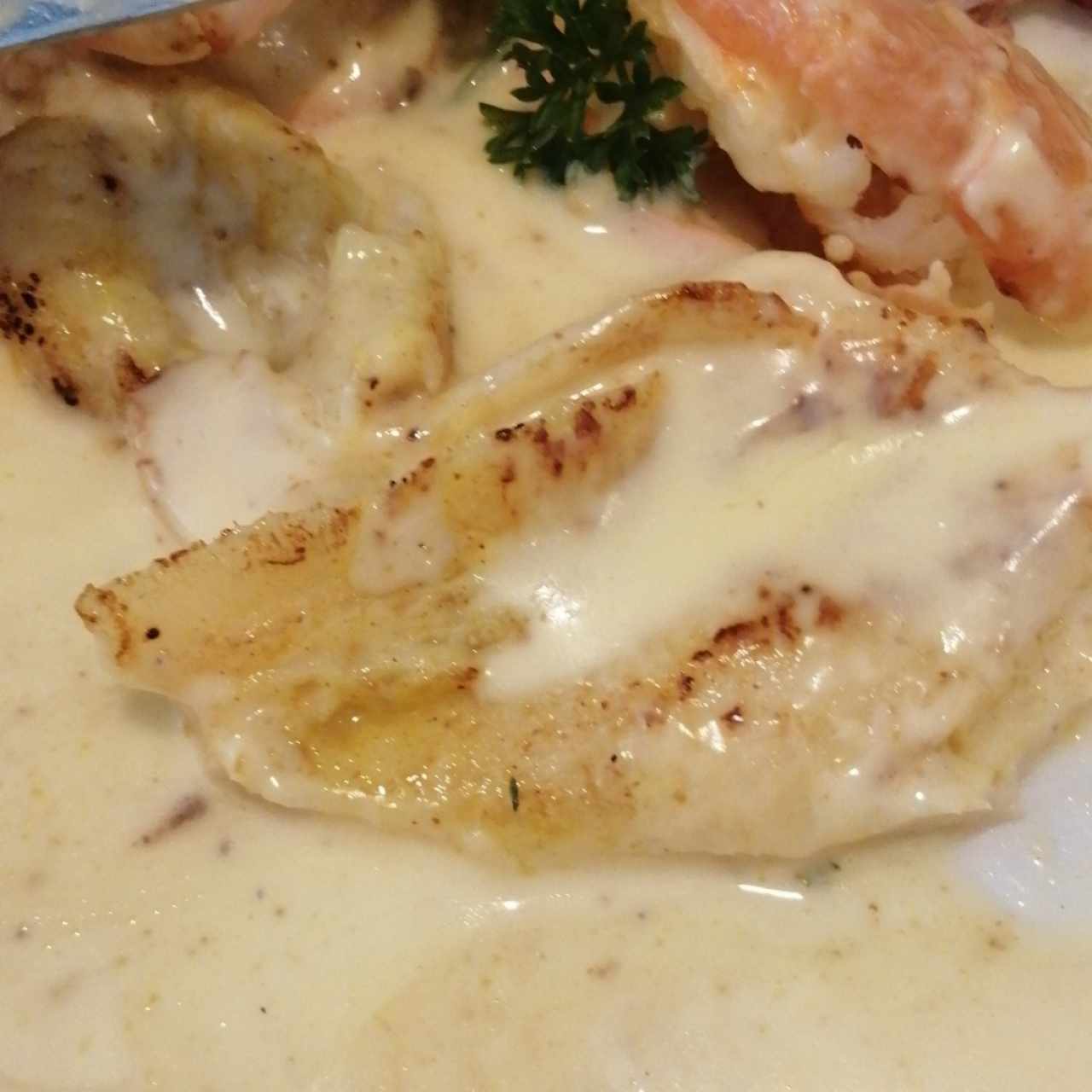 Platos Fuertes - Mar y Mar