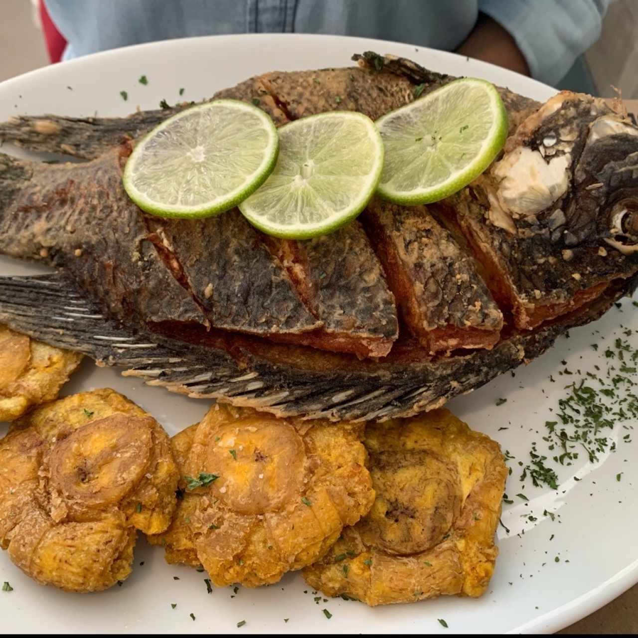 Platos Fuertes - Mojarra Río dulce