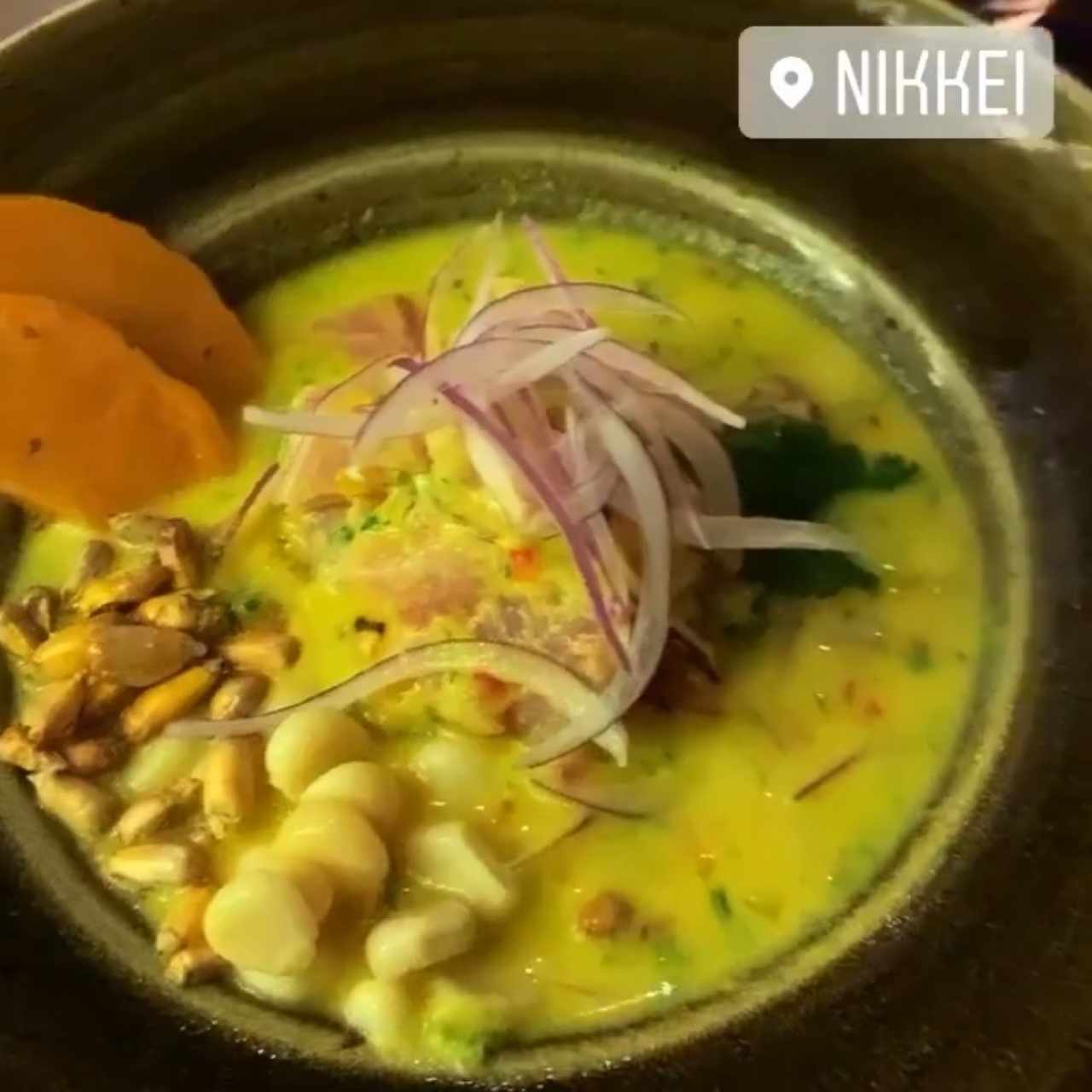 Tigre Nikkei