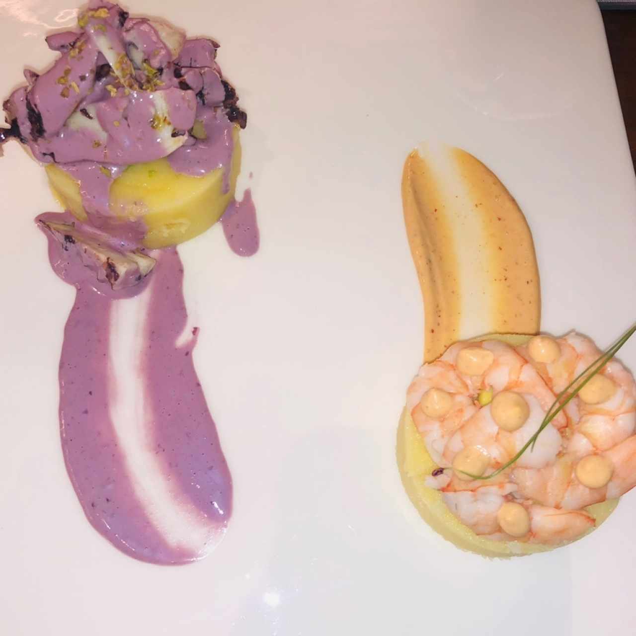 Causas de Pulpo y Camaron