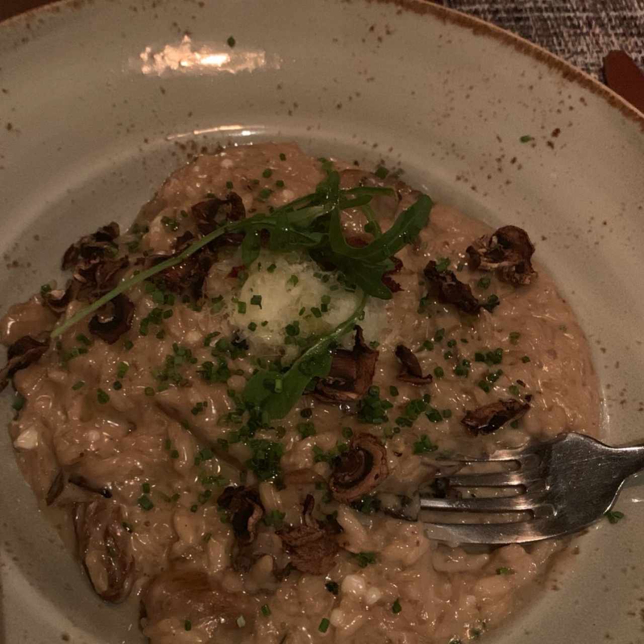 Risottos - Funghi Porcinni