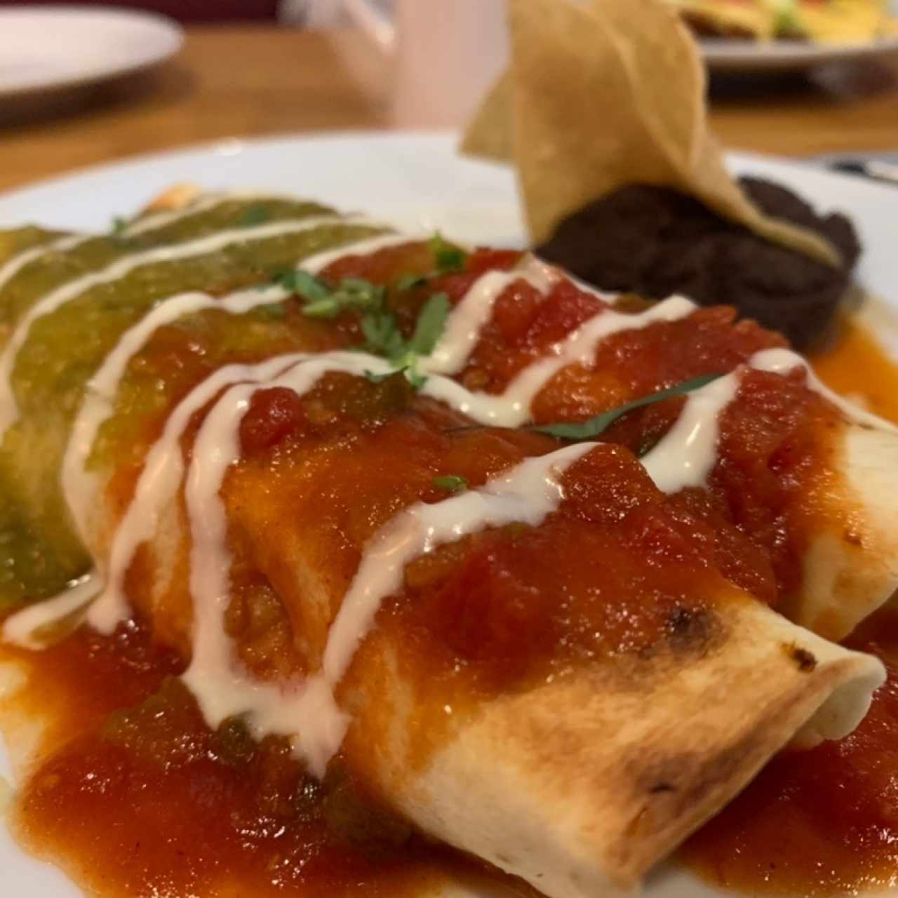 Sour Cream Chicken Enchiladas
