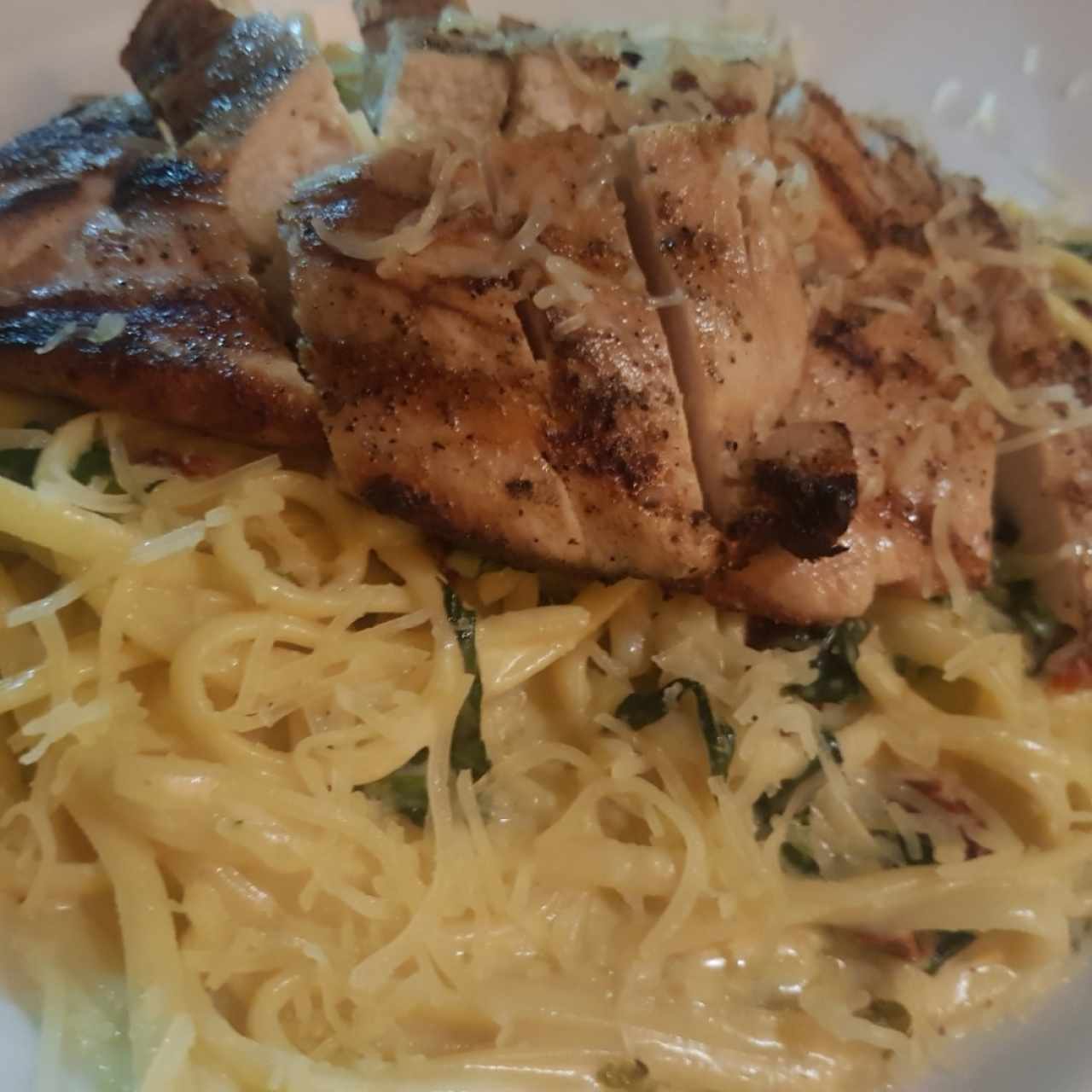 Pasta Alfredo
