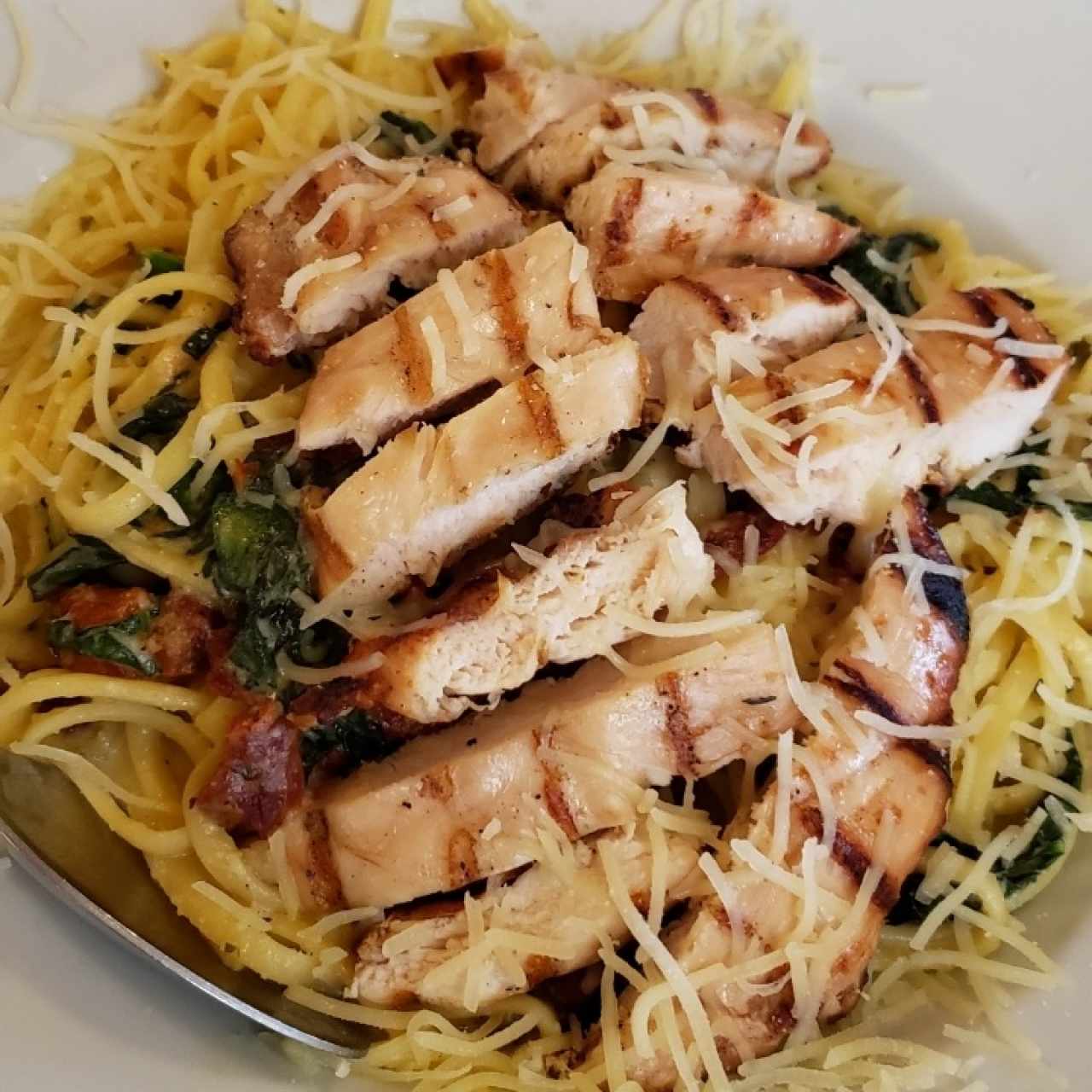 Pastas - Chicken Alfredo Florentine