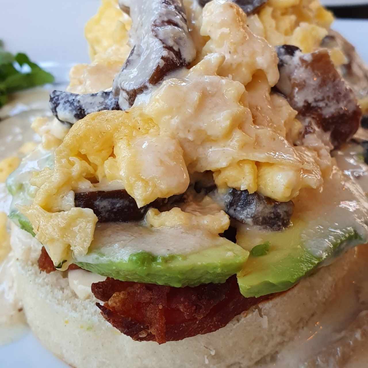 Shiitake Benedicts