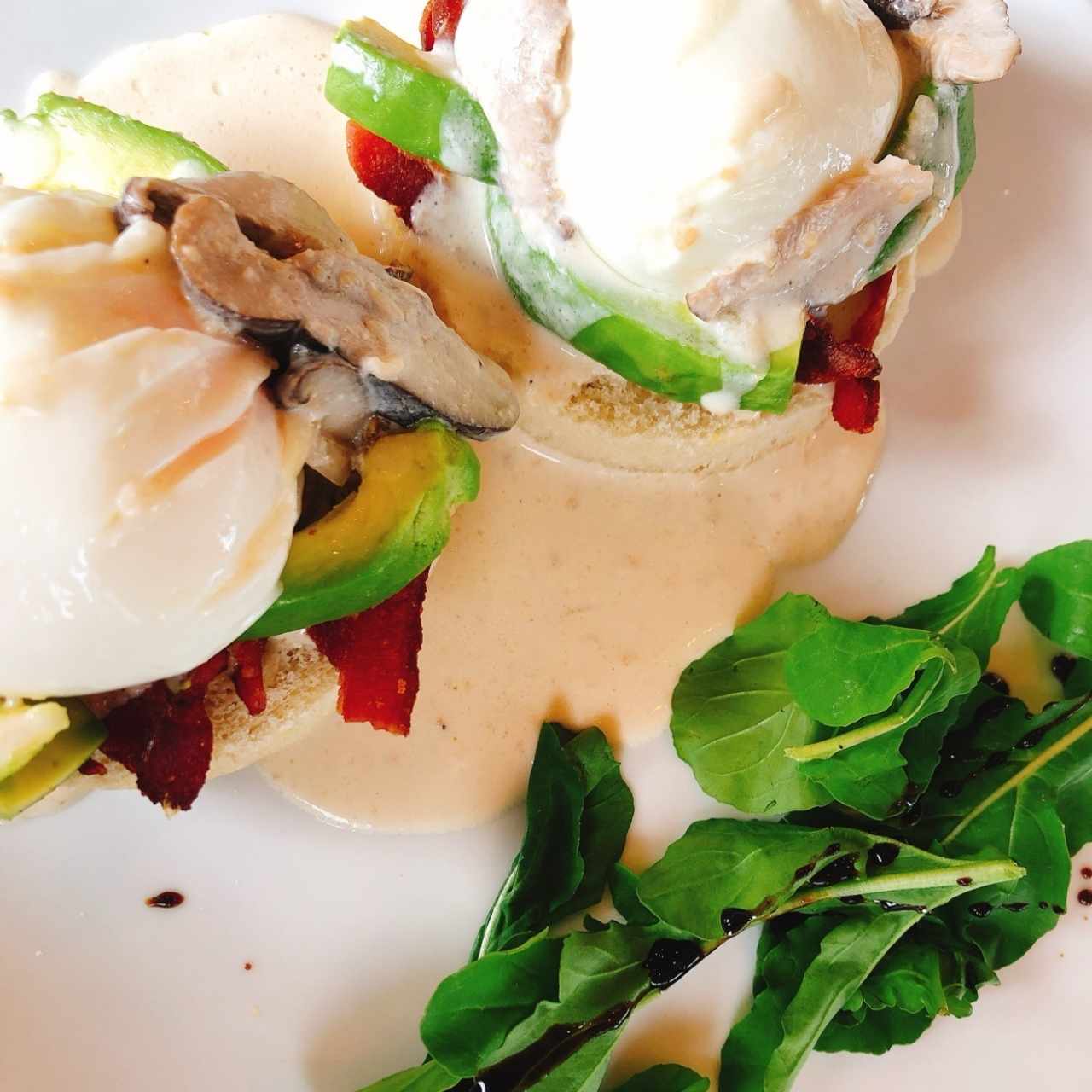 Shiitake benedicts