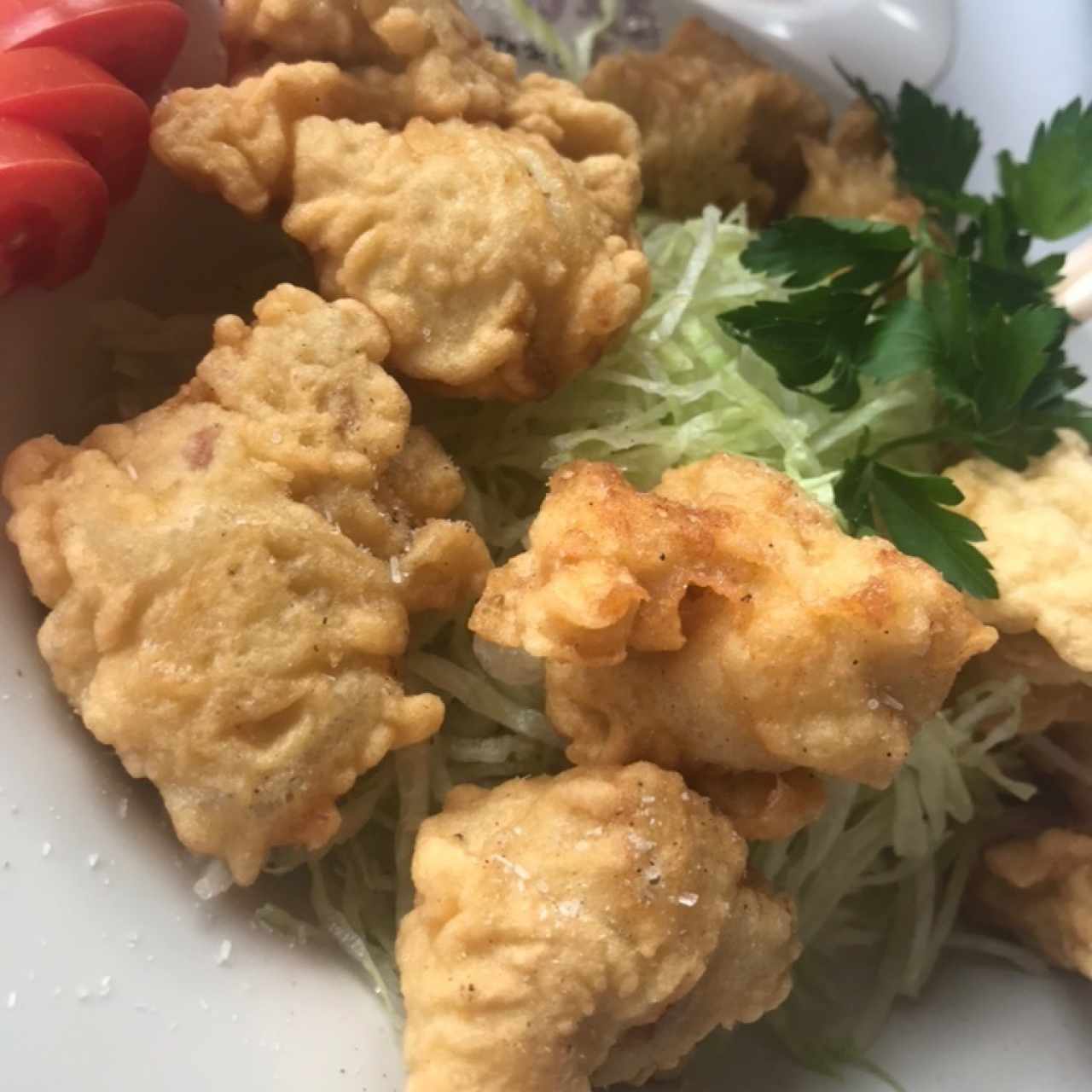 Tempura - Wakatori