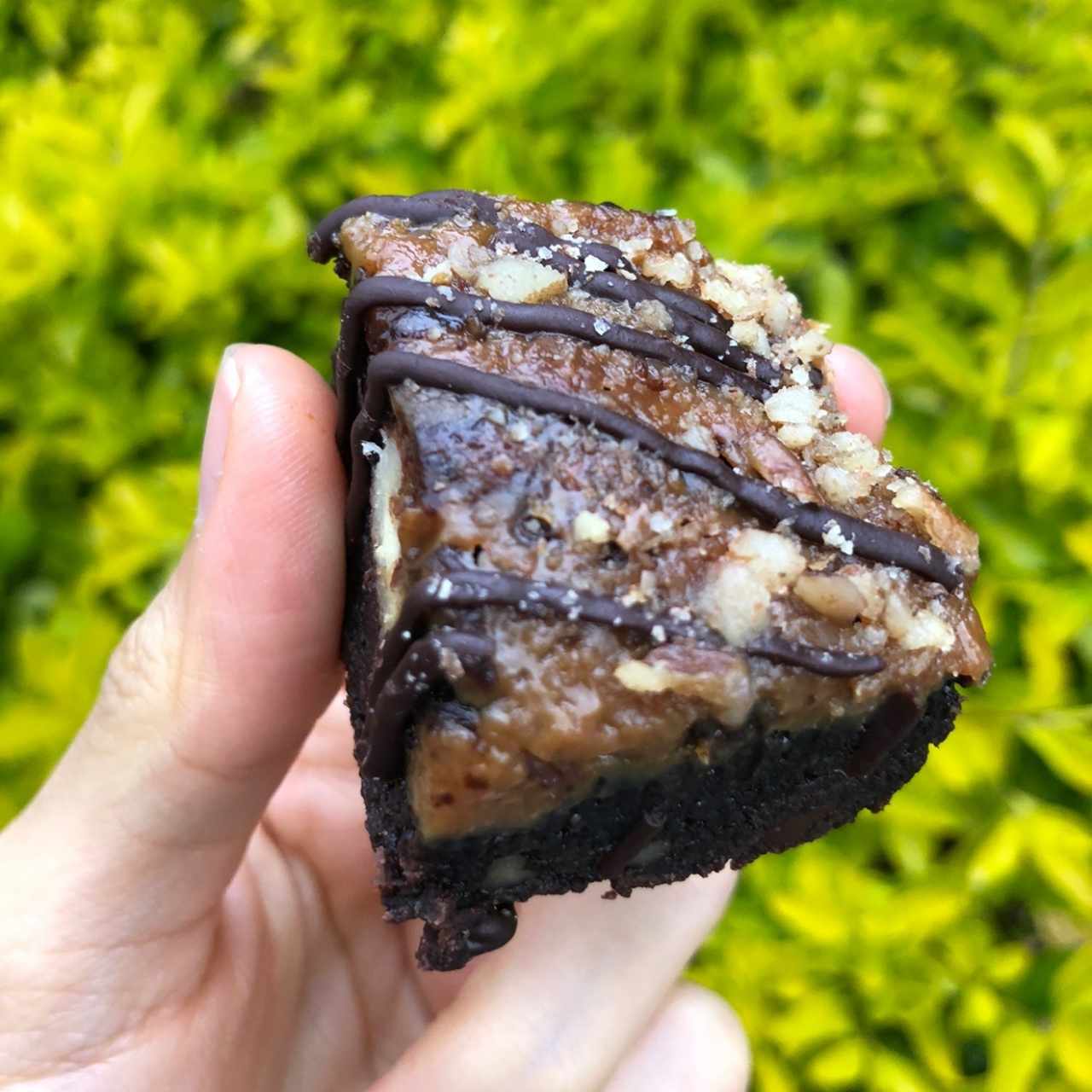 brownie