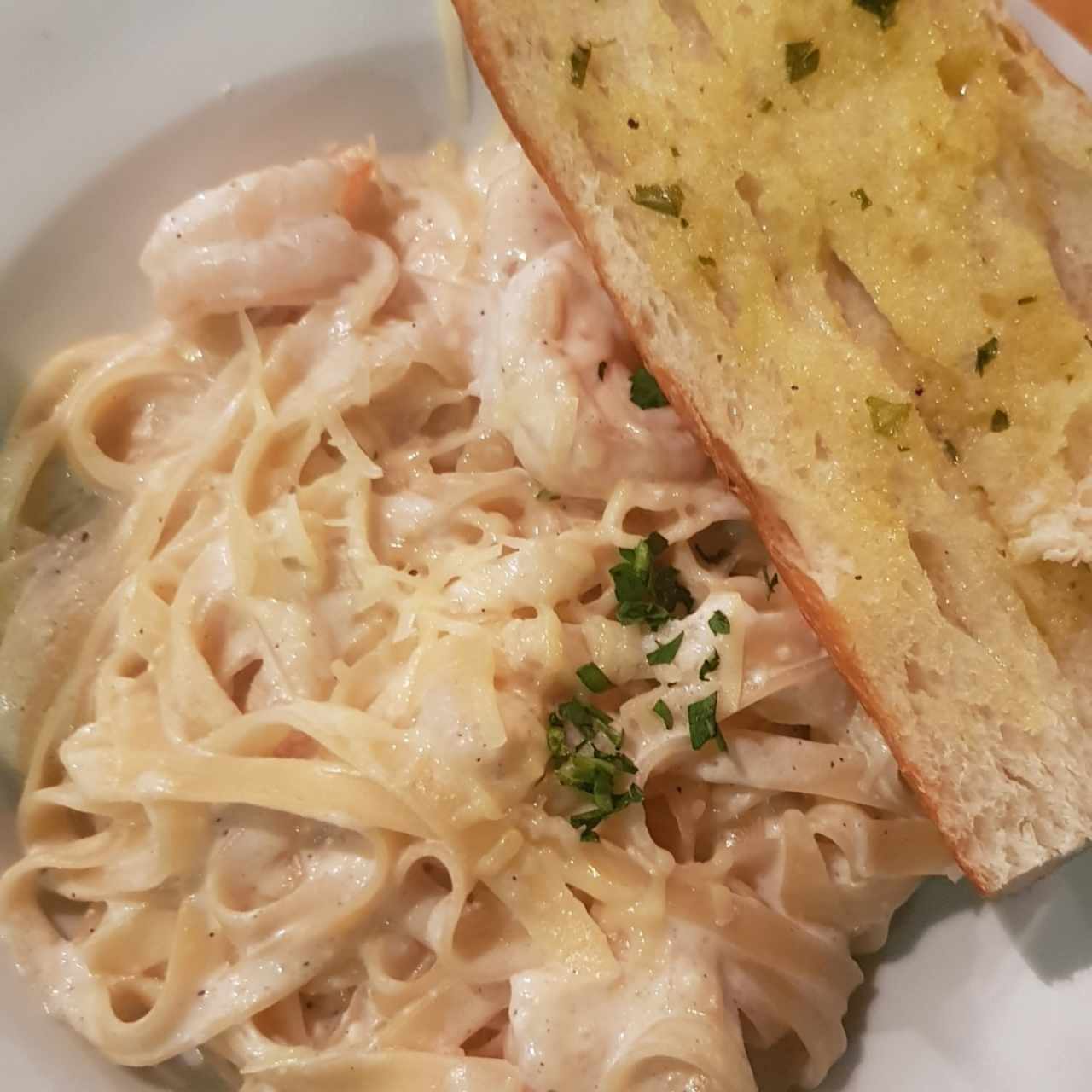 Paso 1 Salsas - Alfredo