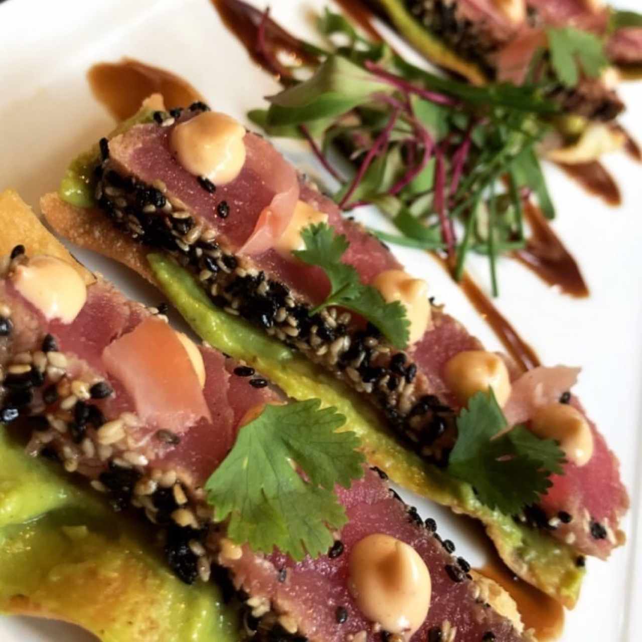 Tostadas de Atun 