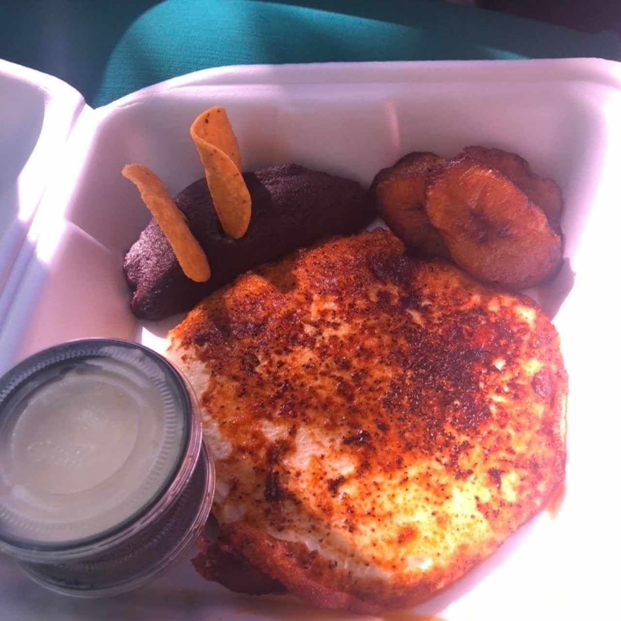 Panelov