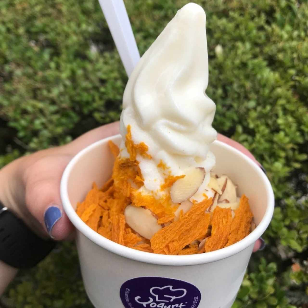 Yogurt Shop