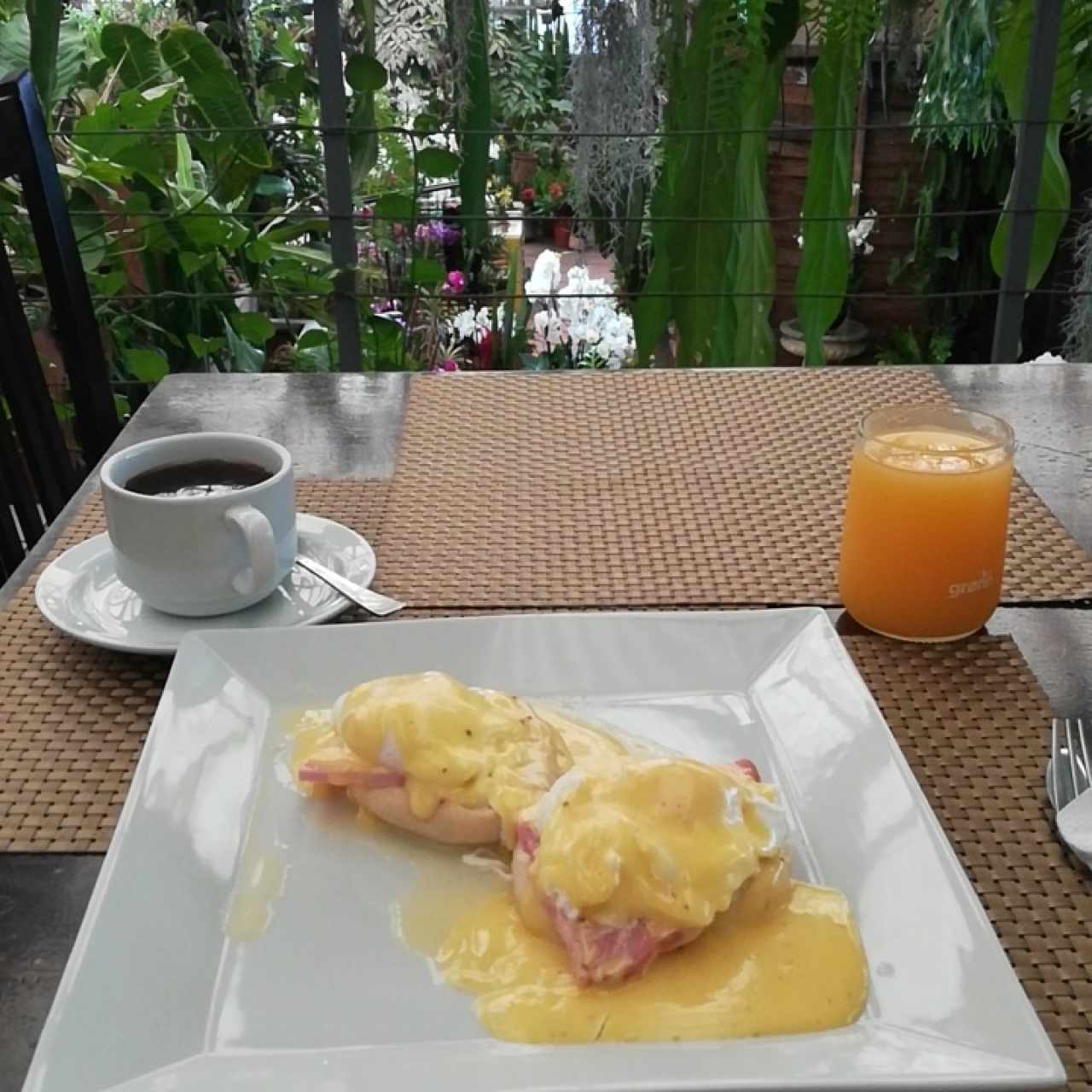 Huevos Benedictinos